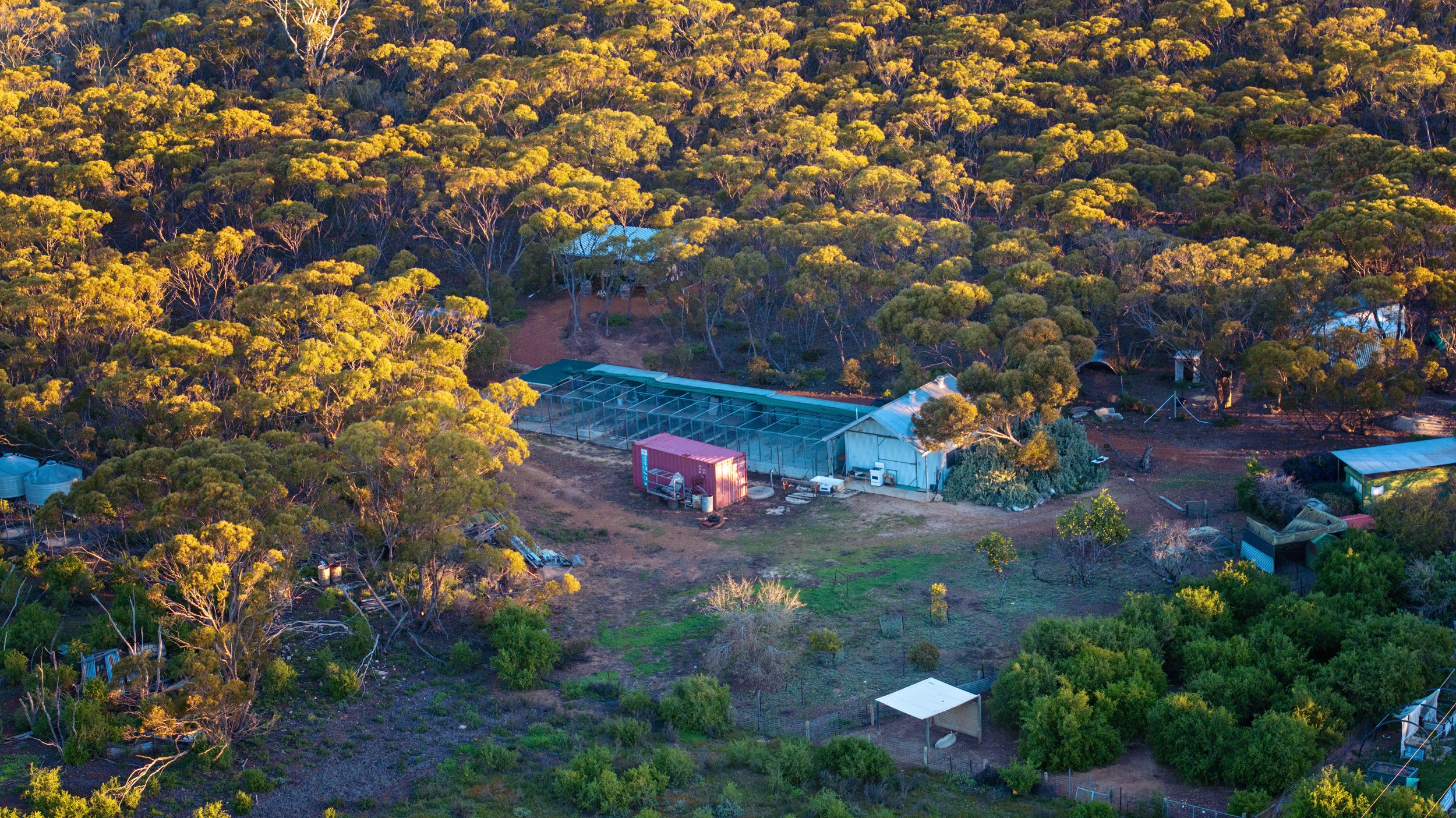 DJI_20260704090732_0149_D copy.jpg
