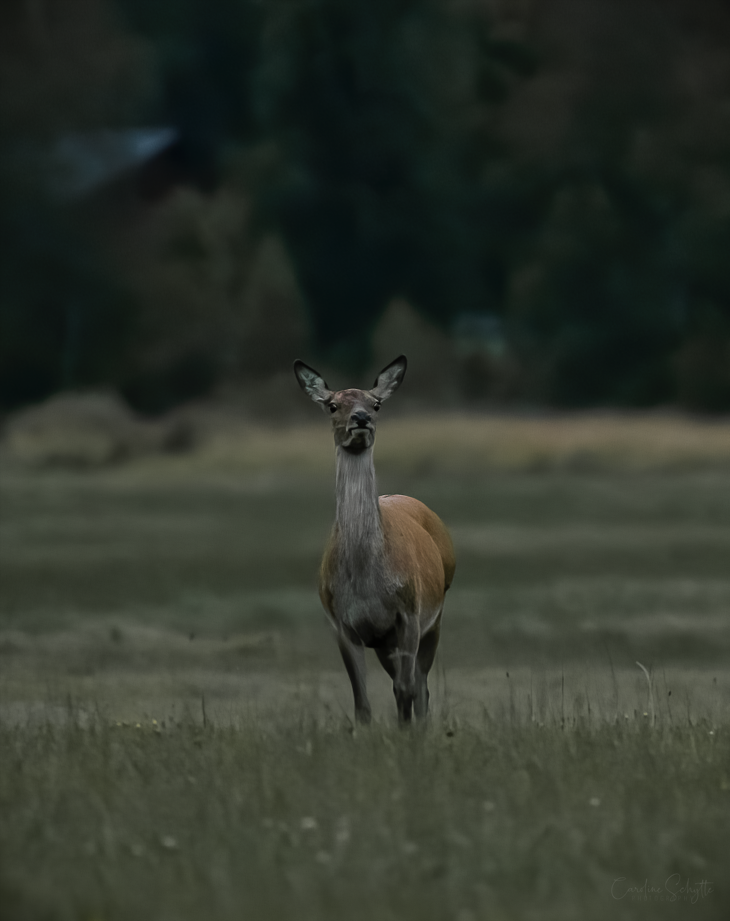 Screenshot 2021-11-21 at 19.12.45.png