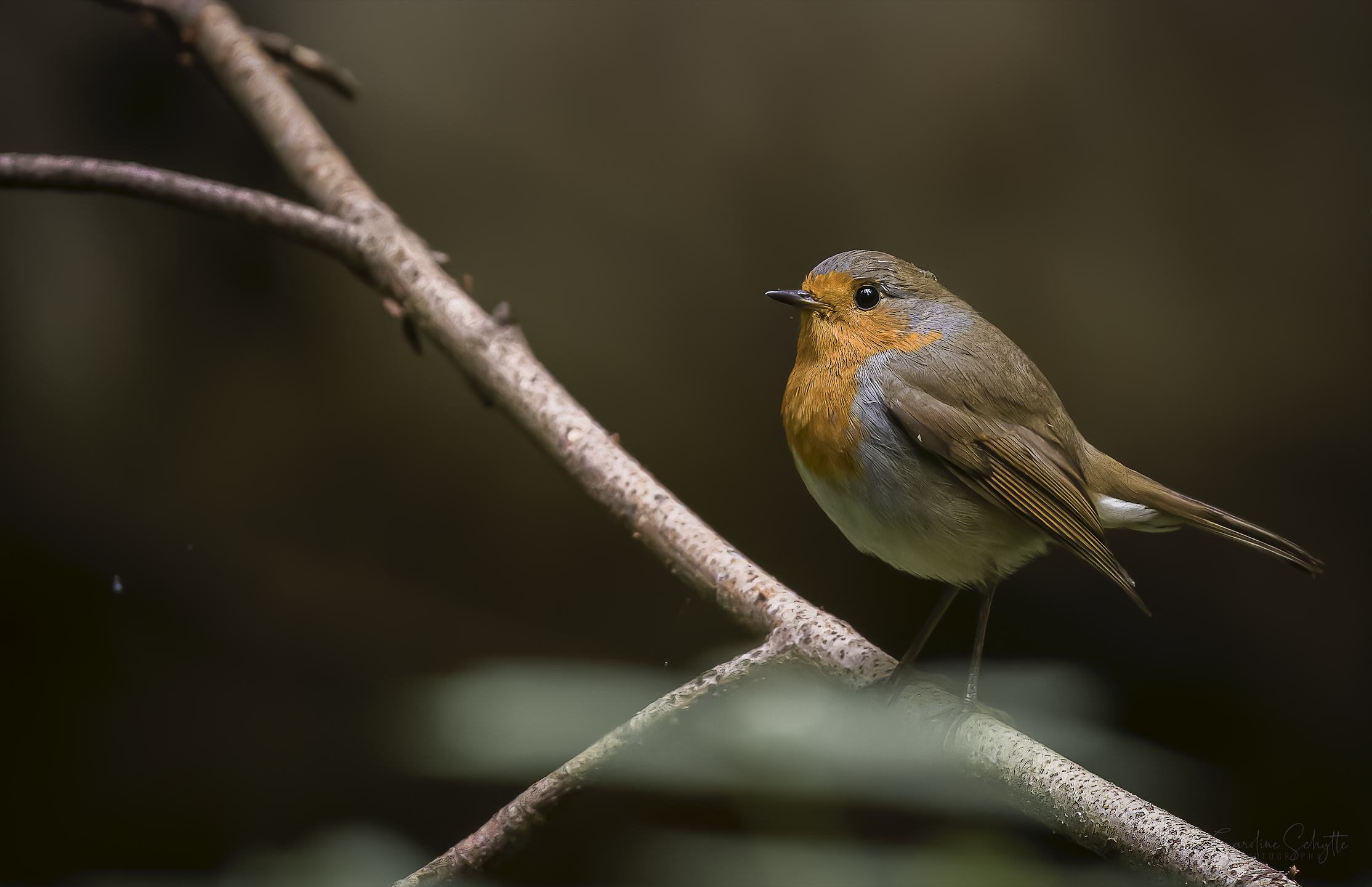 Screenshot 2021-11-21 at 22.33.44.png