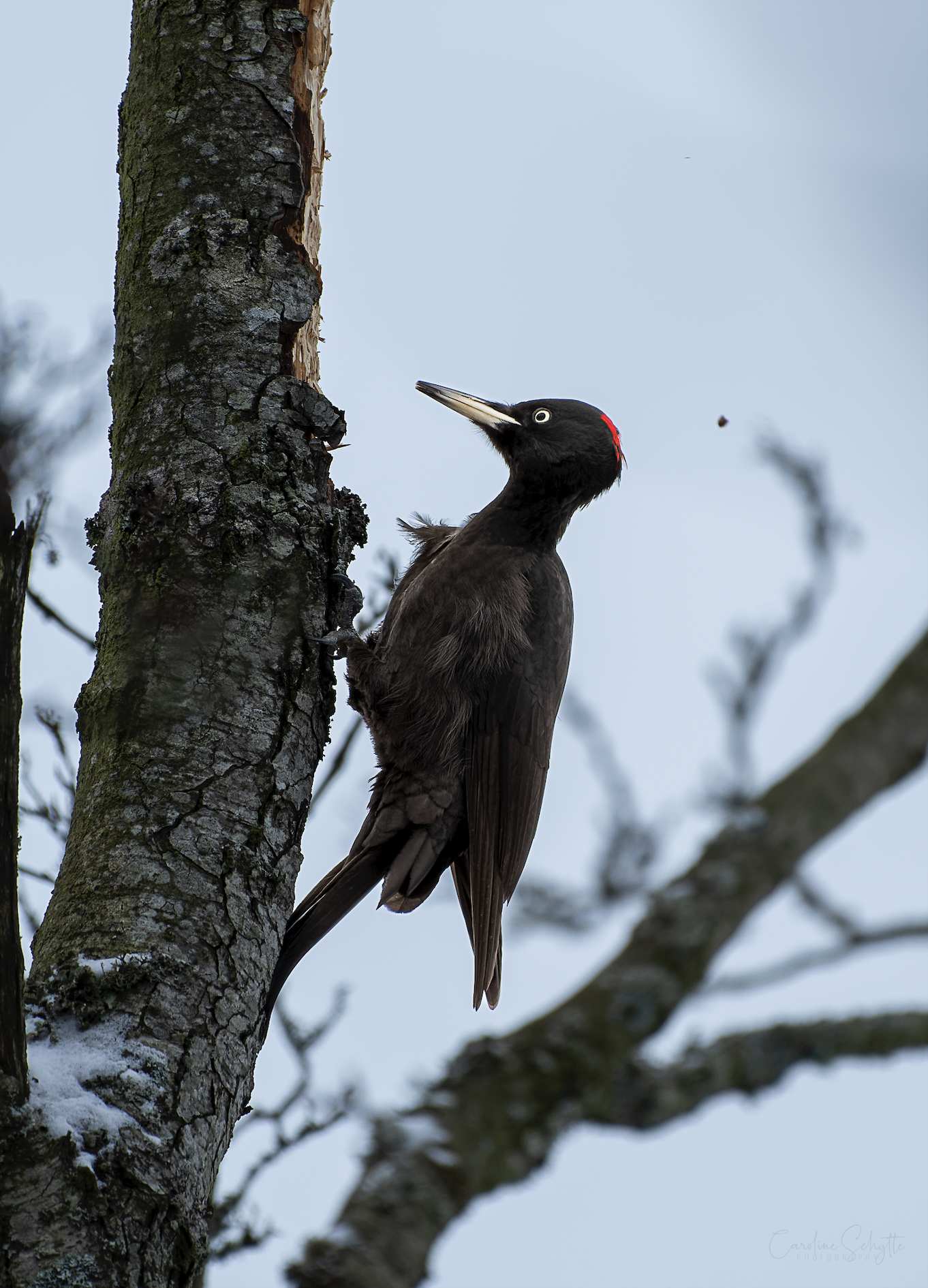 Screenshot 2021-12-04 at 17.23.09.png