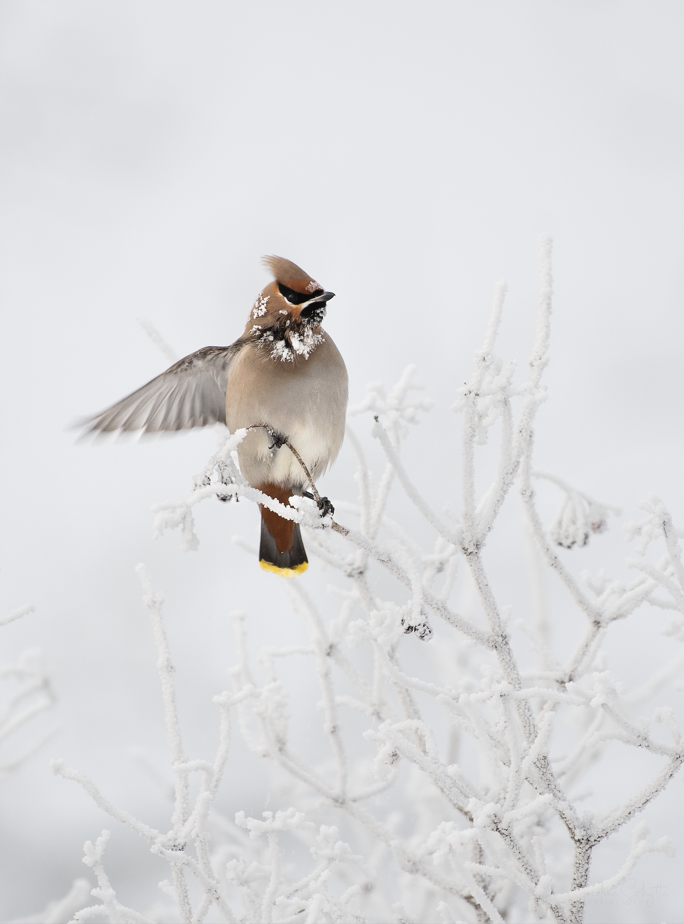 Screenshot 2021-12-27 at 19.10.22.png