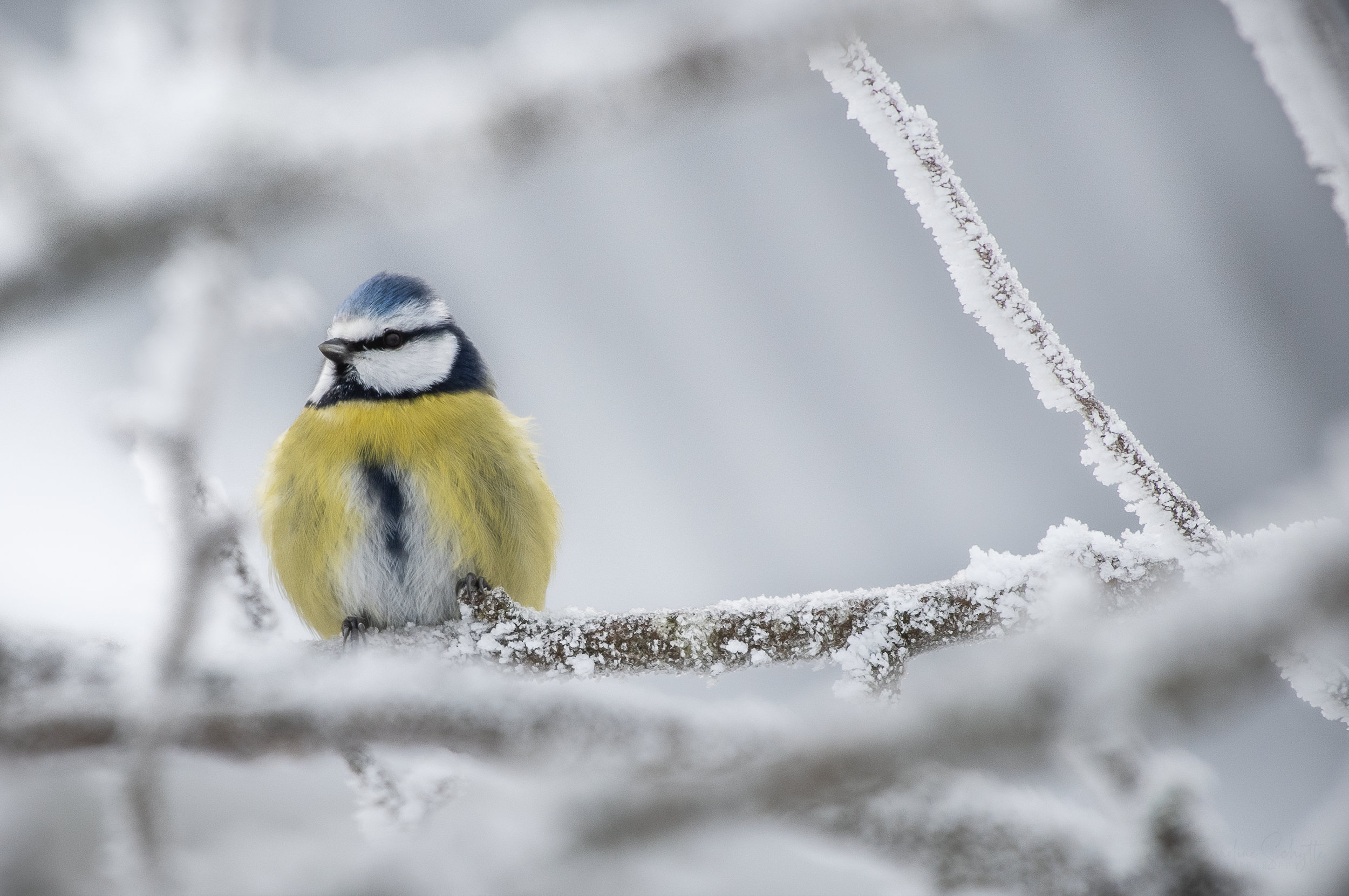 Screenshot 2021-12-27 at 20.20.39.png