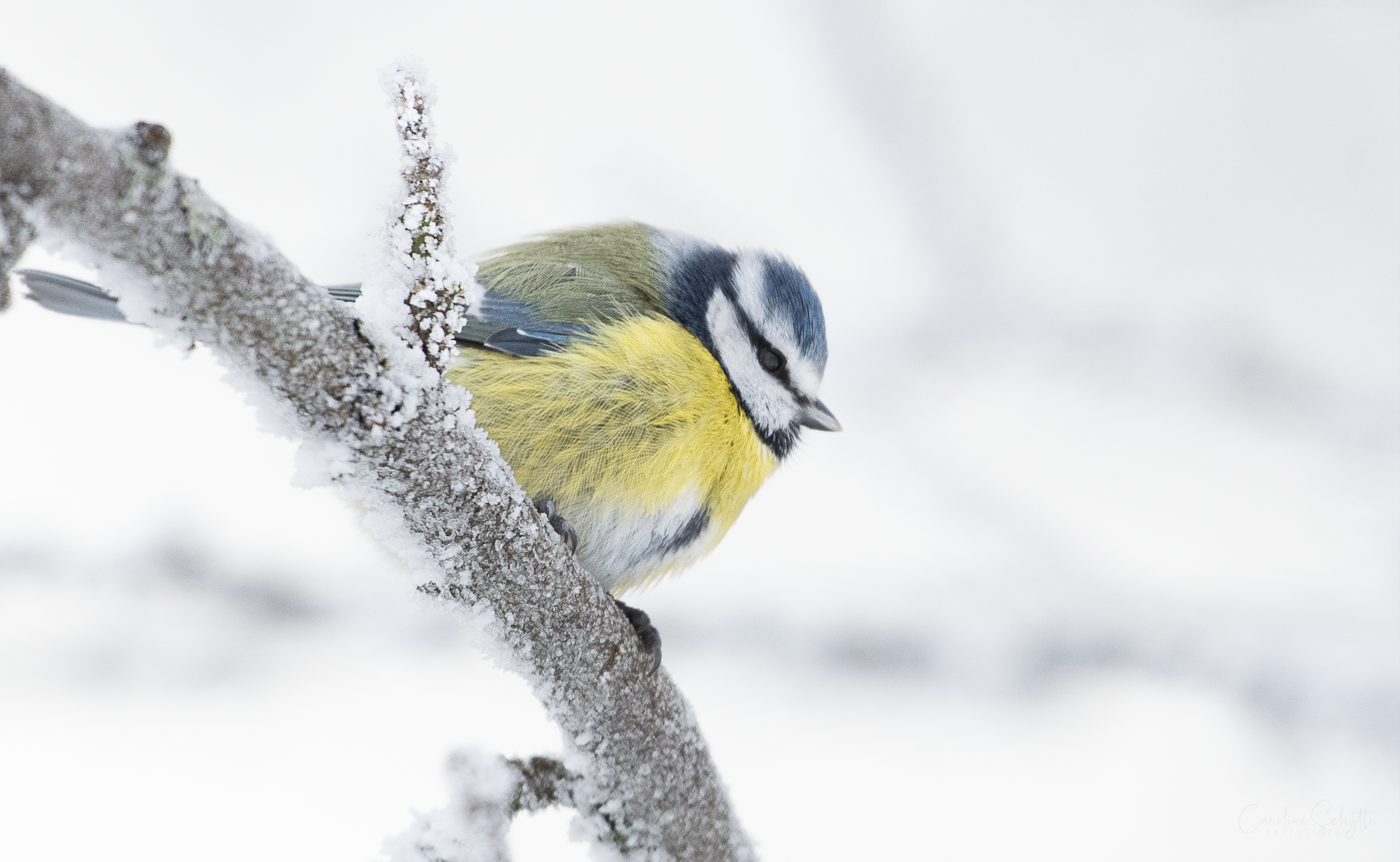 Screenshot 2021-12-27 at 20.21.09.png