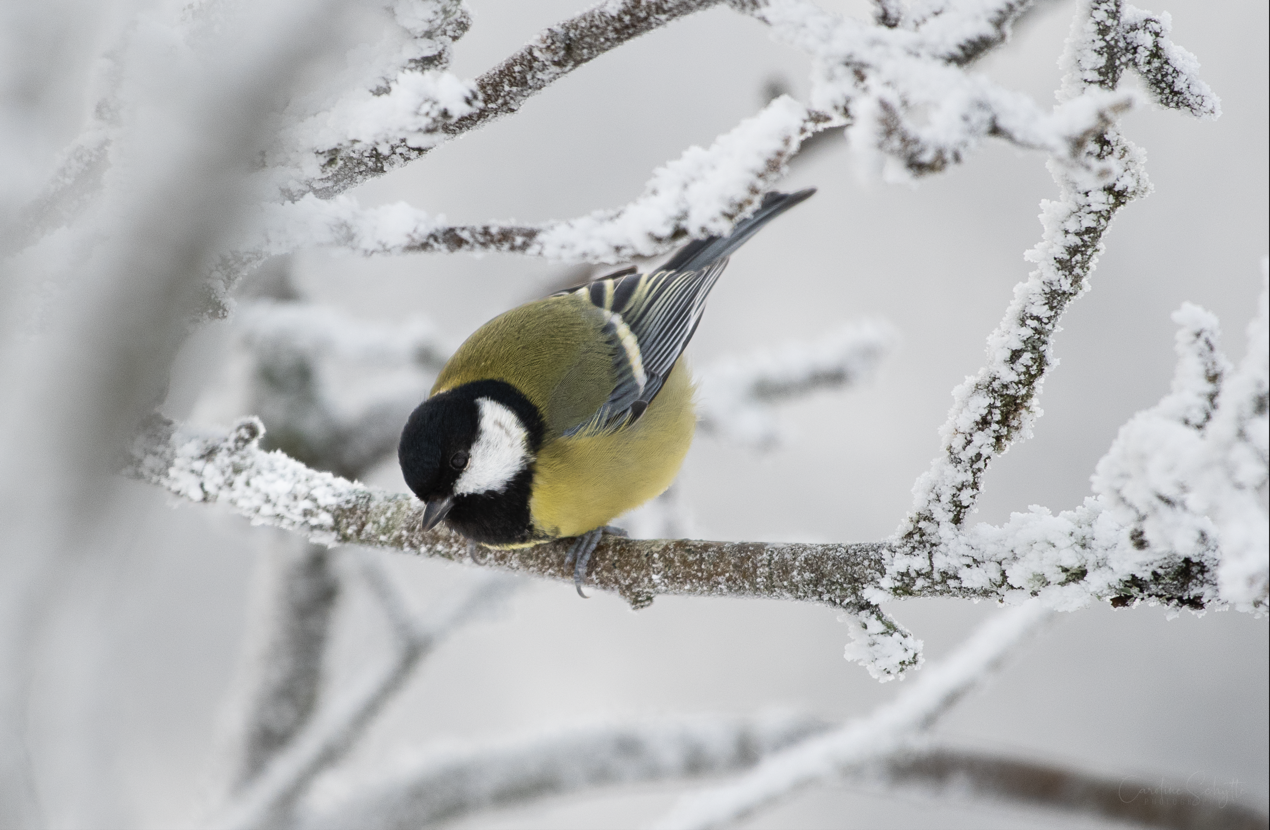 Screenshot 2021-12-27 at 20.26.36.png