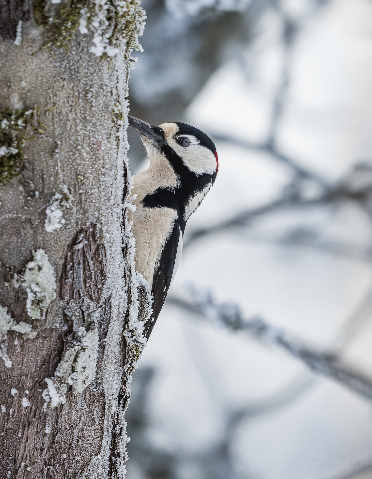 Screenshot 2022-01-03 at 21.41.08.png