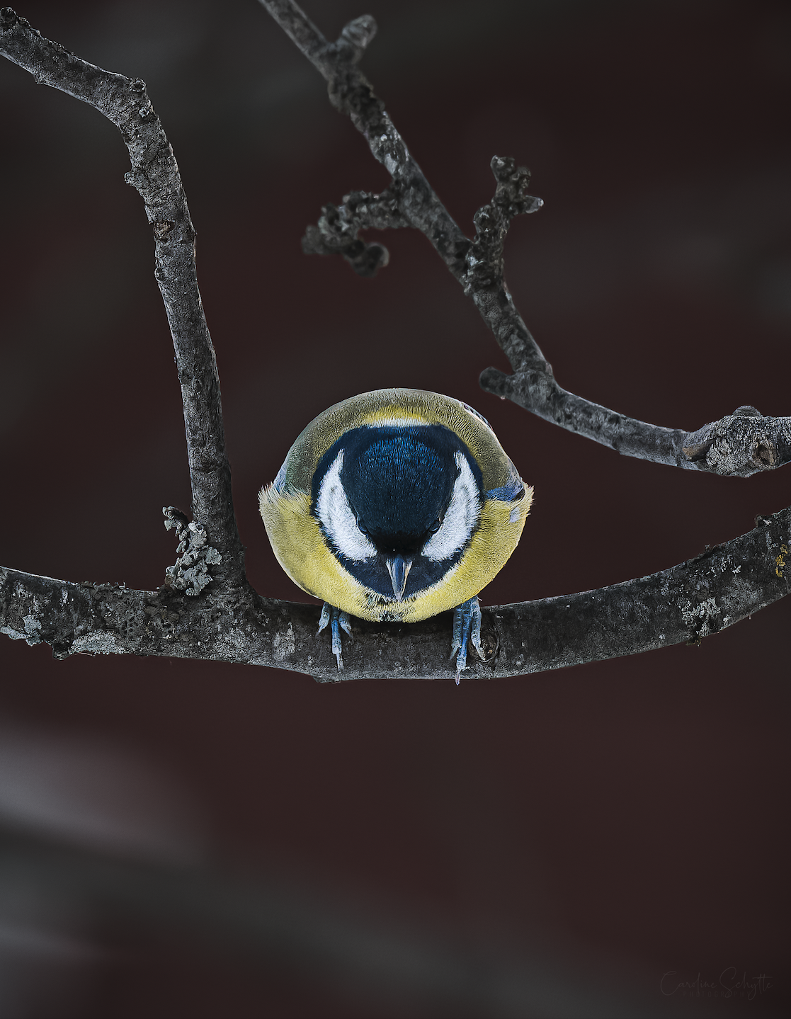 Screenshot 2022-01-15 at 17.52.01.png