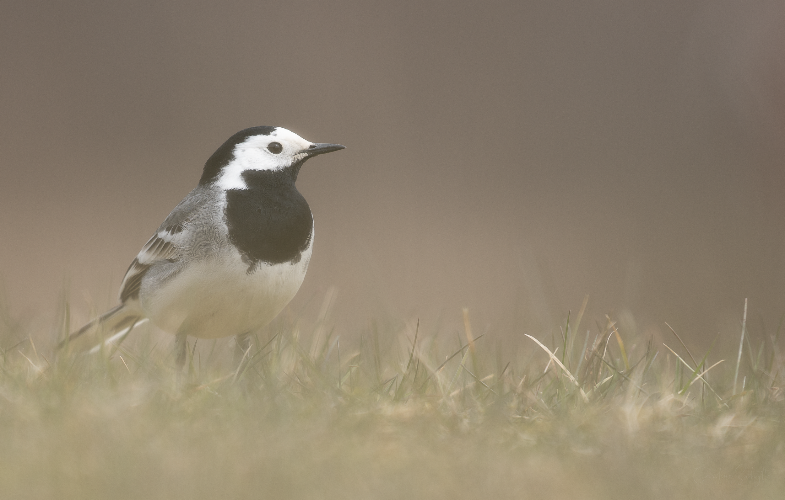 Screenshot 2022-04-14 at 12.11.16.png