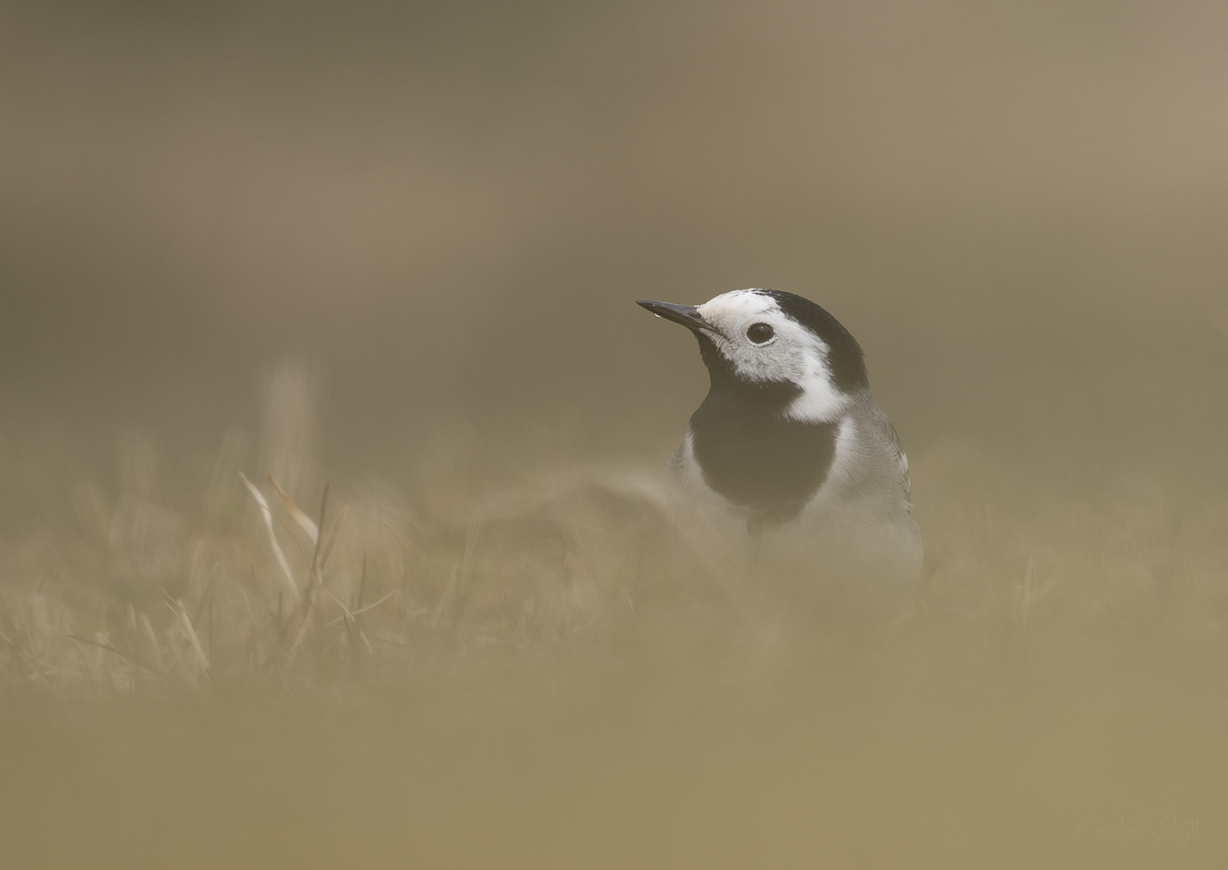 Screenshot 2022-04-14 at 12.15.16.png