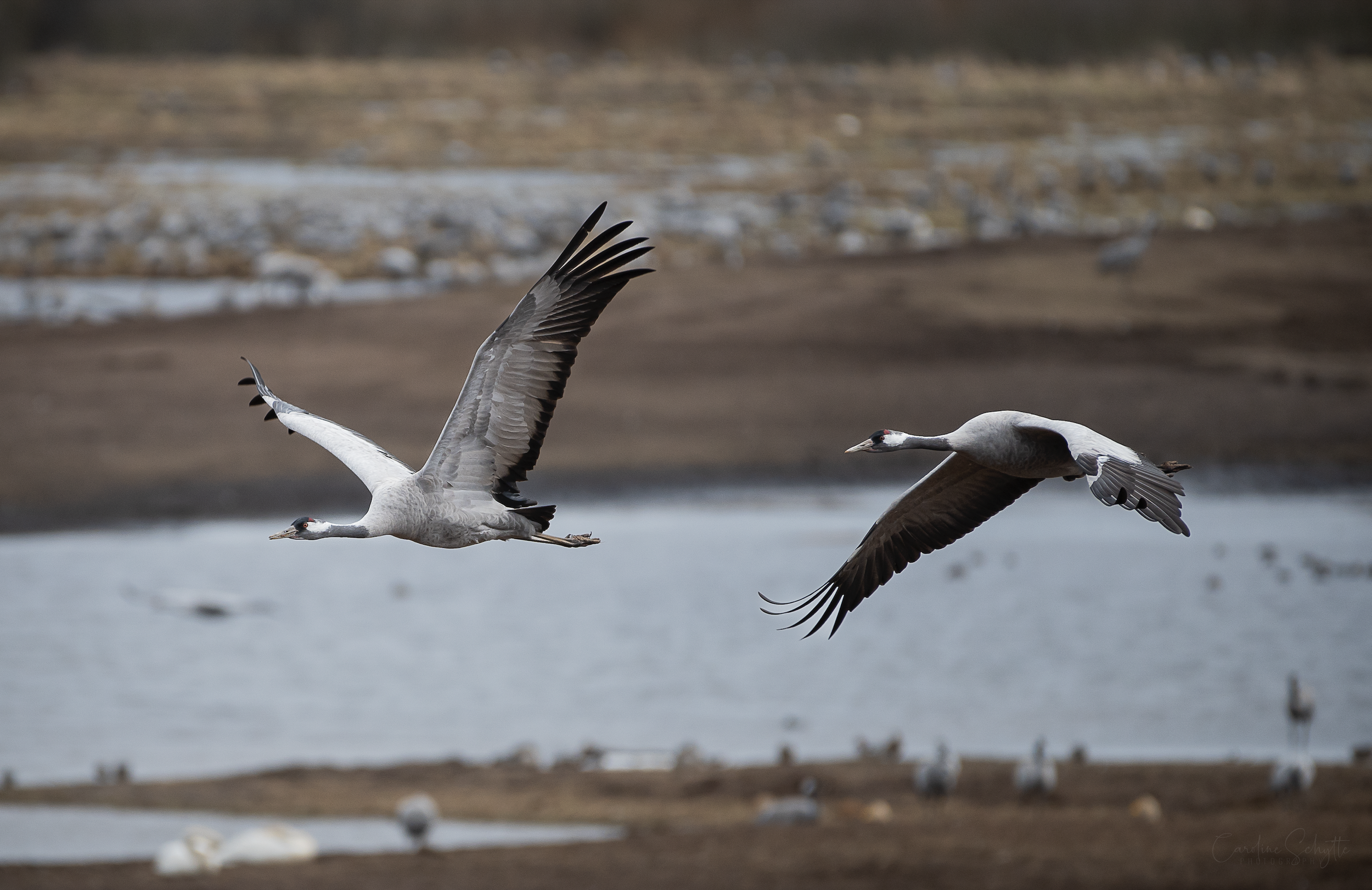 Screenshot 2022-04-14 at 12.30.48.png