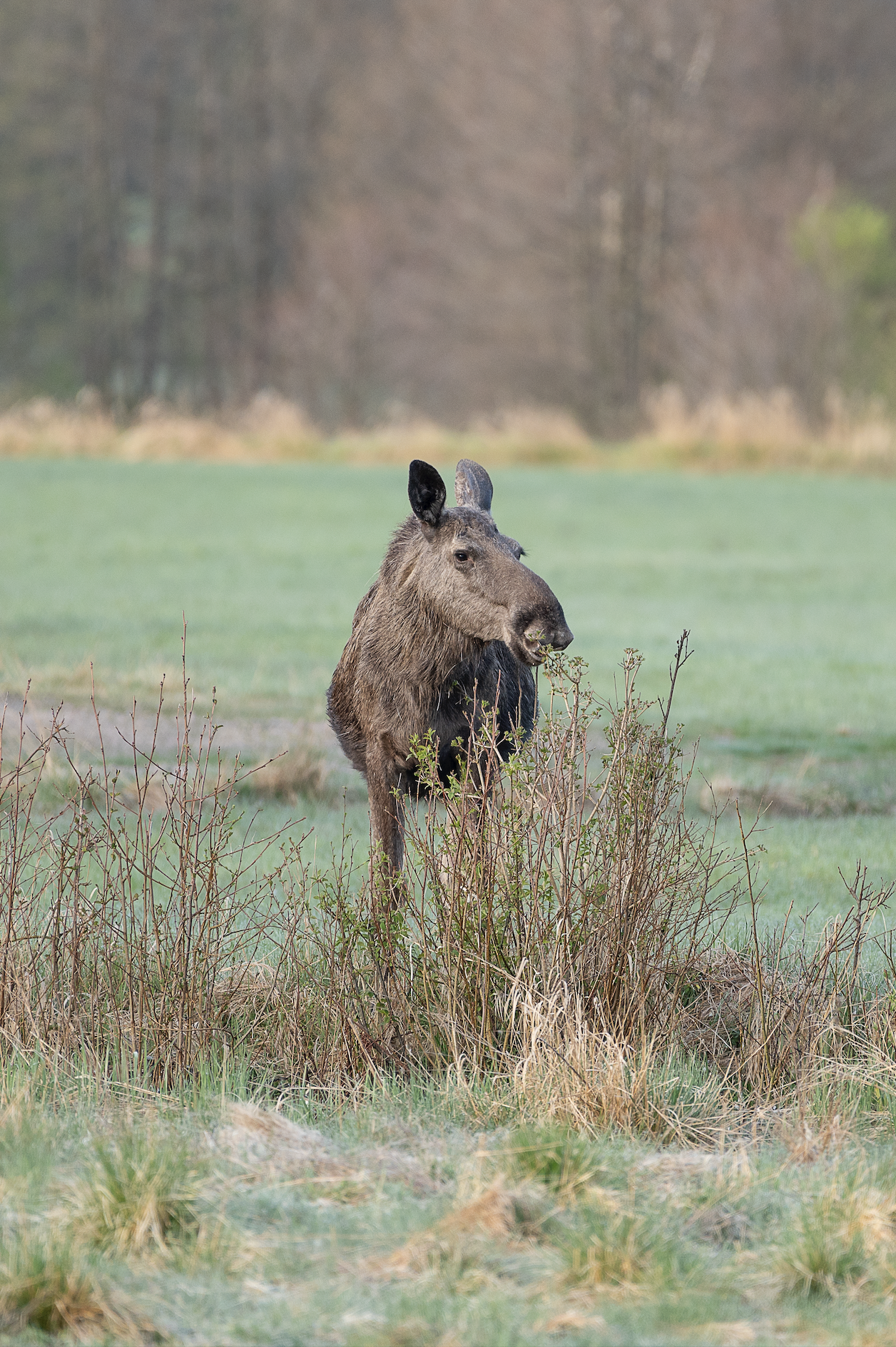 Screenshot 2022-05-10 at 18.10.55.png