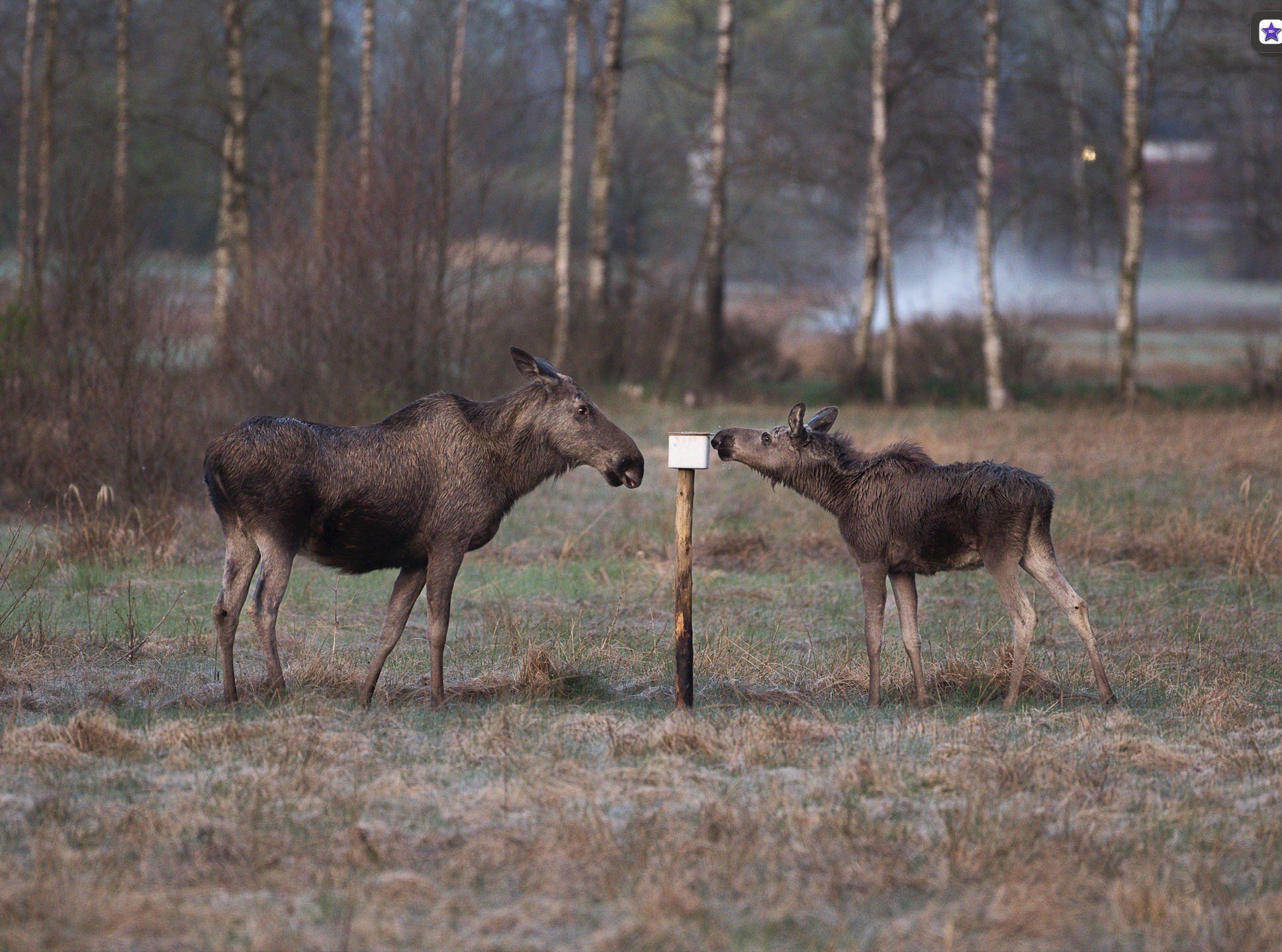 Screenshot 2022-05-13 at 23.45.07.png