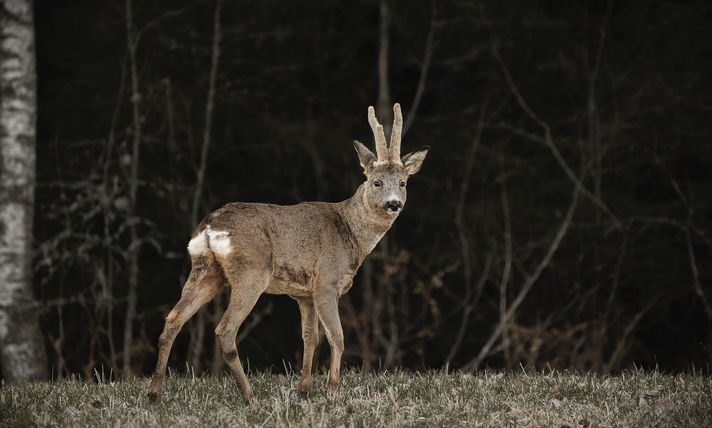 Screenshot 2022-05-13 at 23.52.48.png