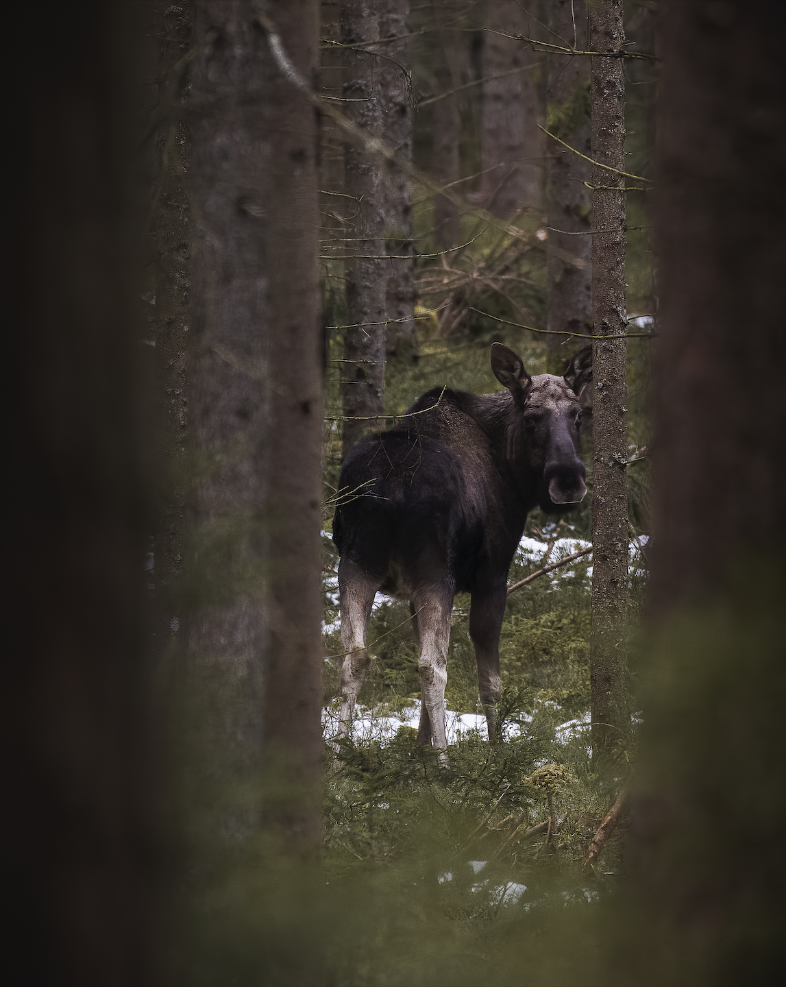 Screenshot 2022-05-14 at 00.20.53.png