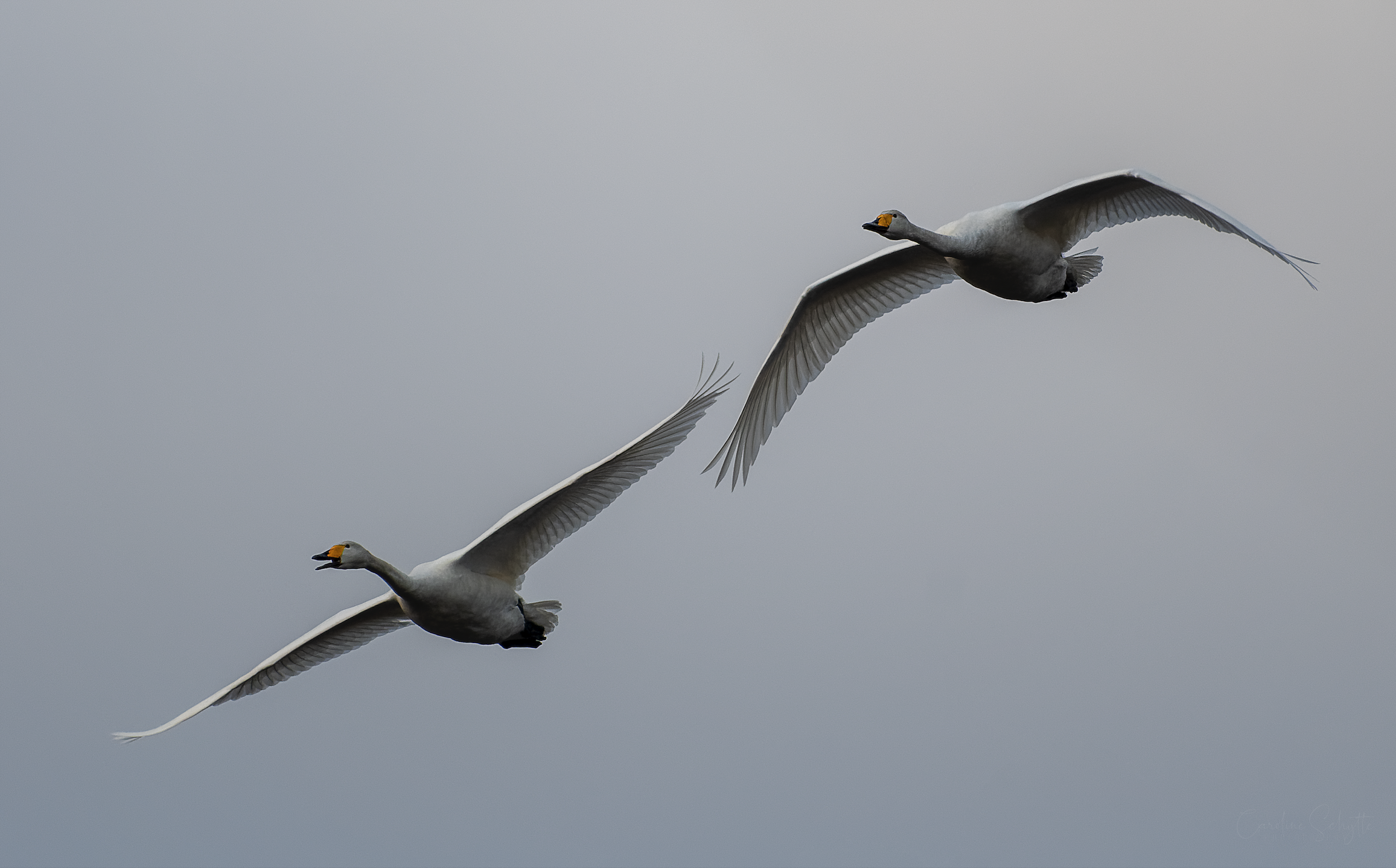 Screenshot 2022-05-14 at 00.30.23.png