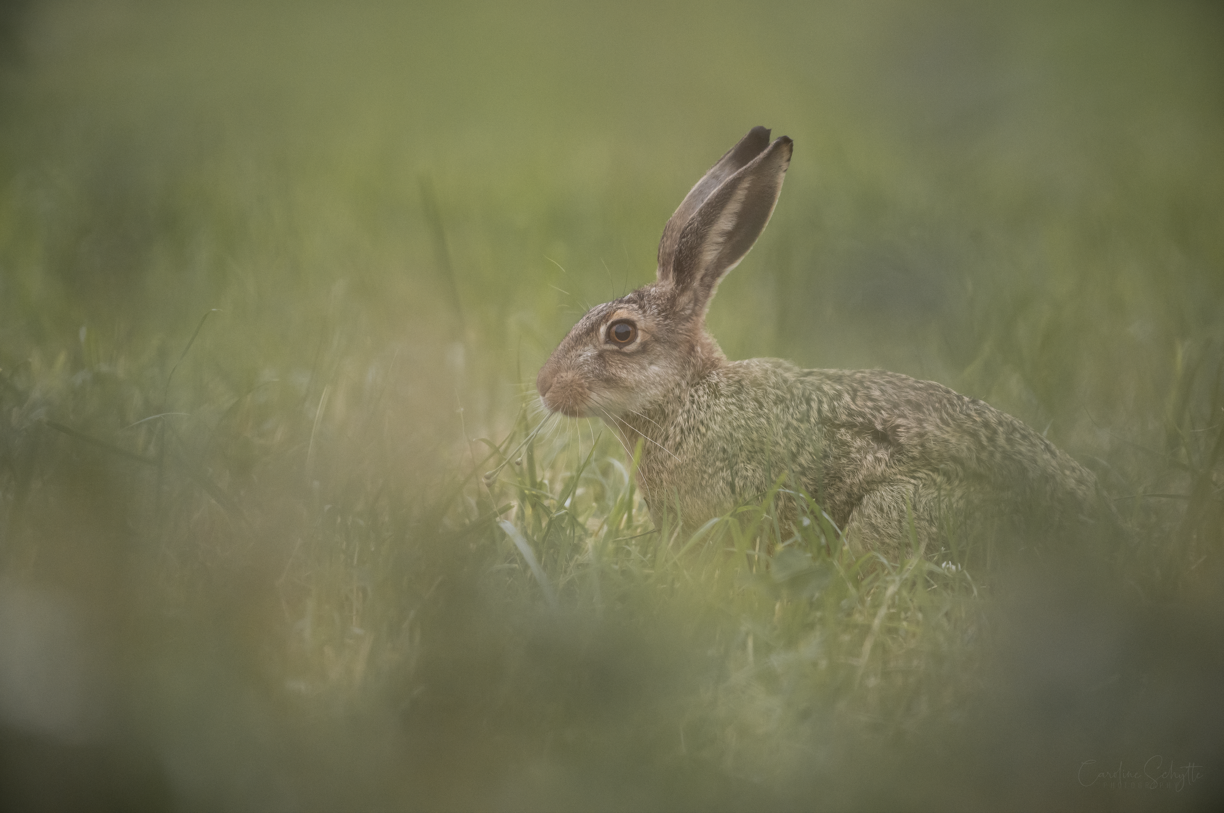 Screenshot 2022-09-24 at 15.11.39.png