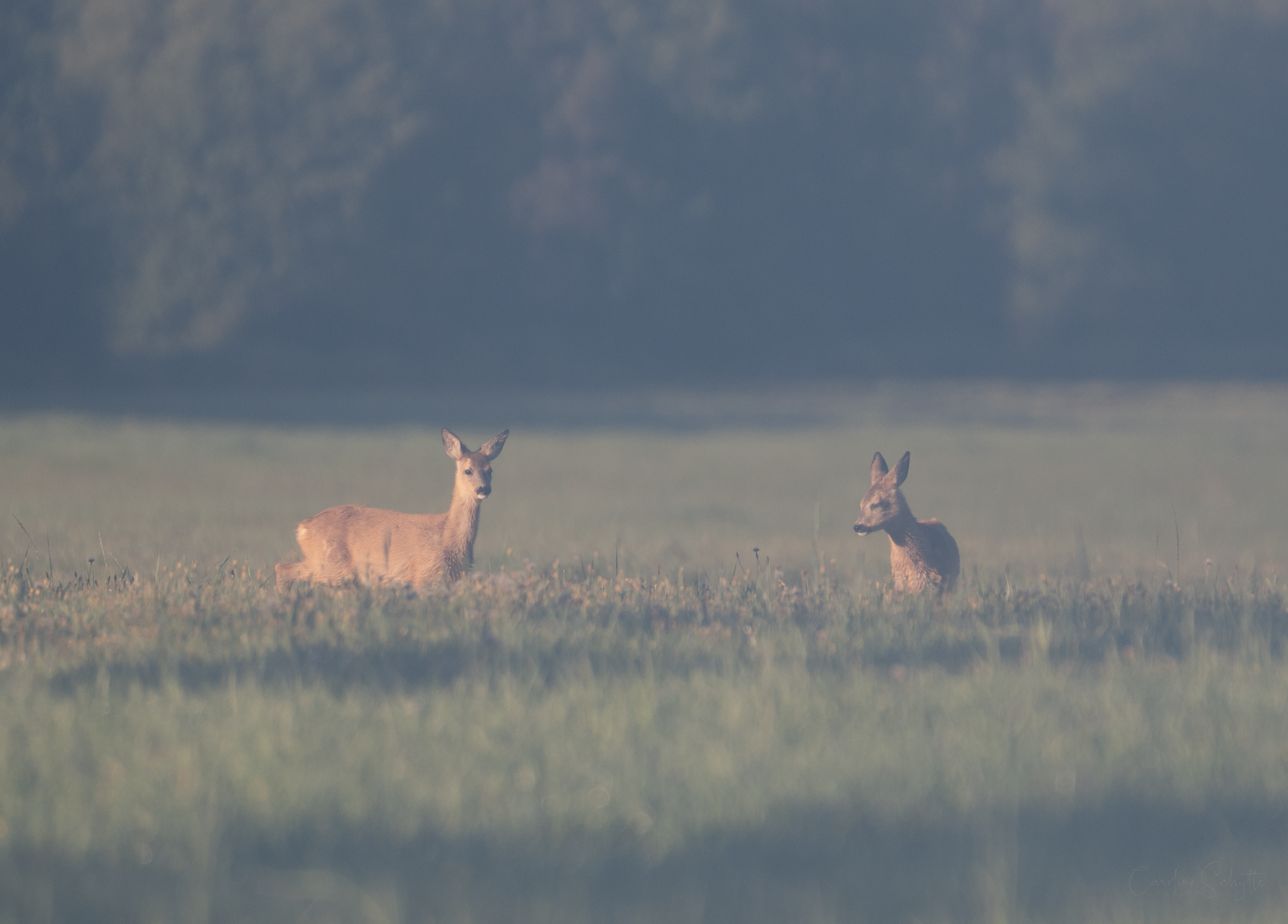 Screenshot 2022-09-24 at 15.12.54.png