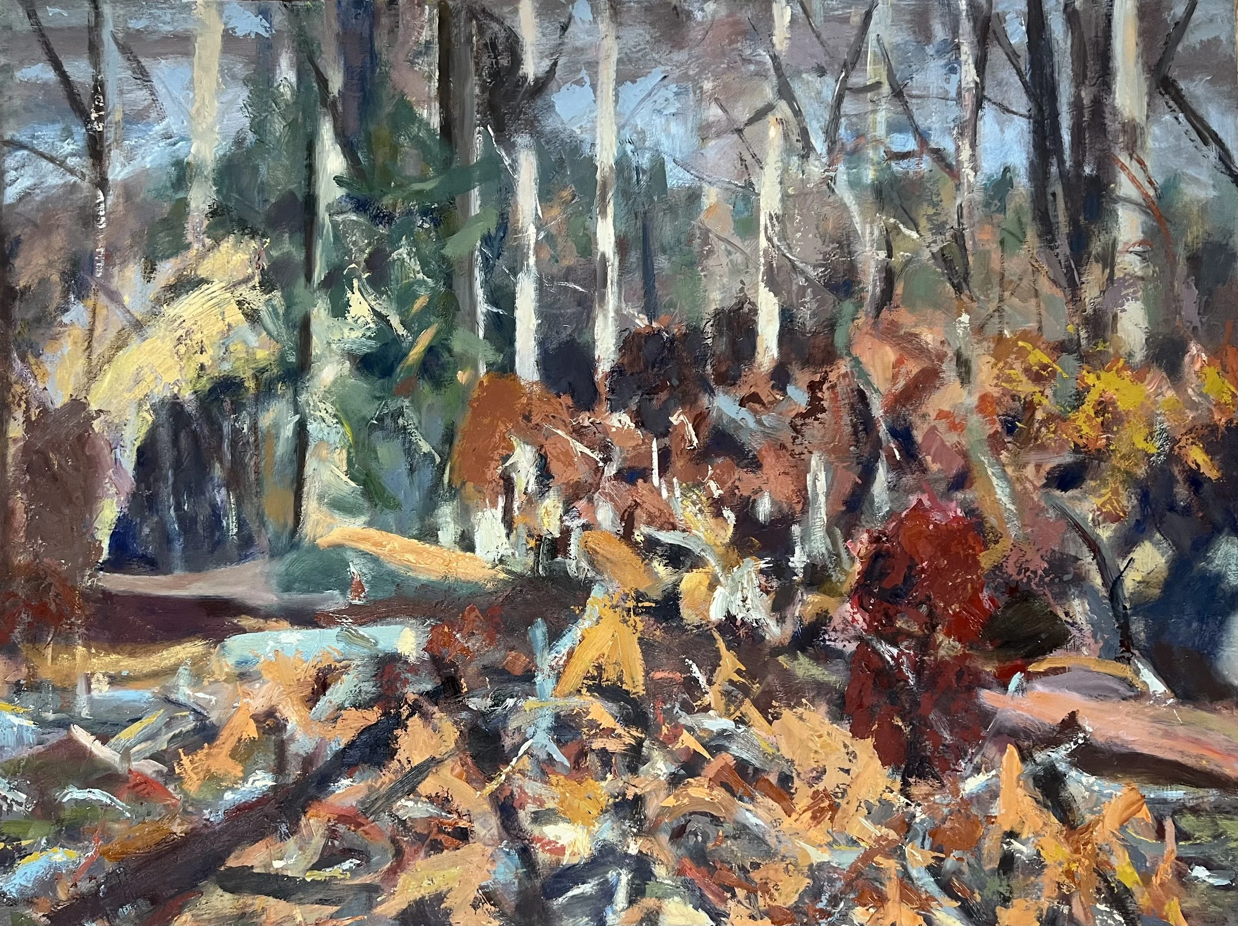 Willy Hill clear fell site 100x120