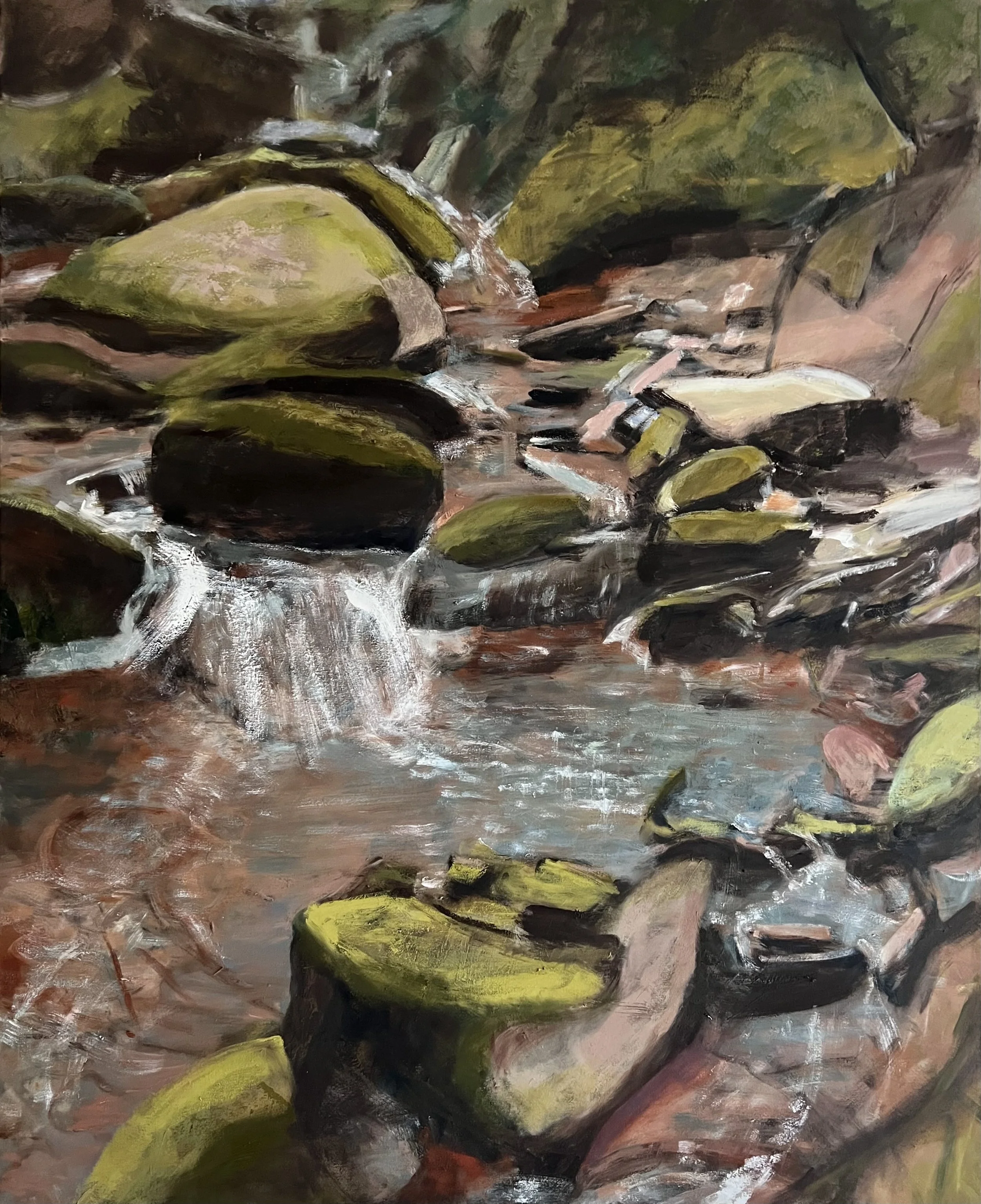 Sapey brook headwaters 100x80
