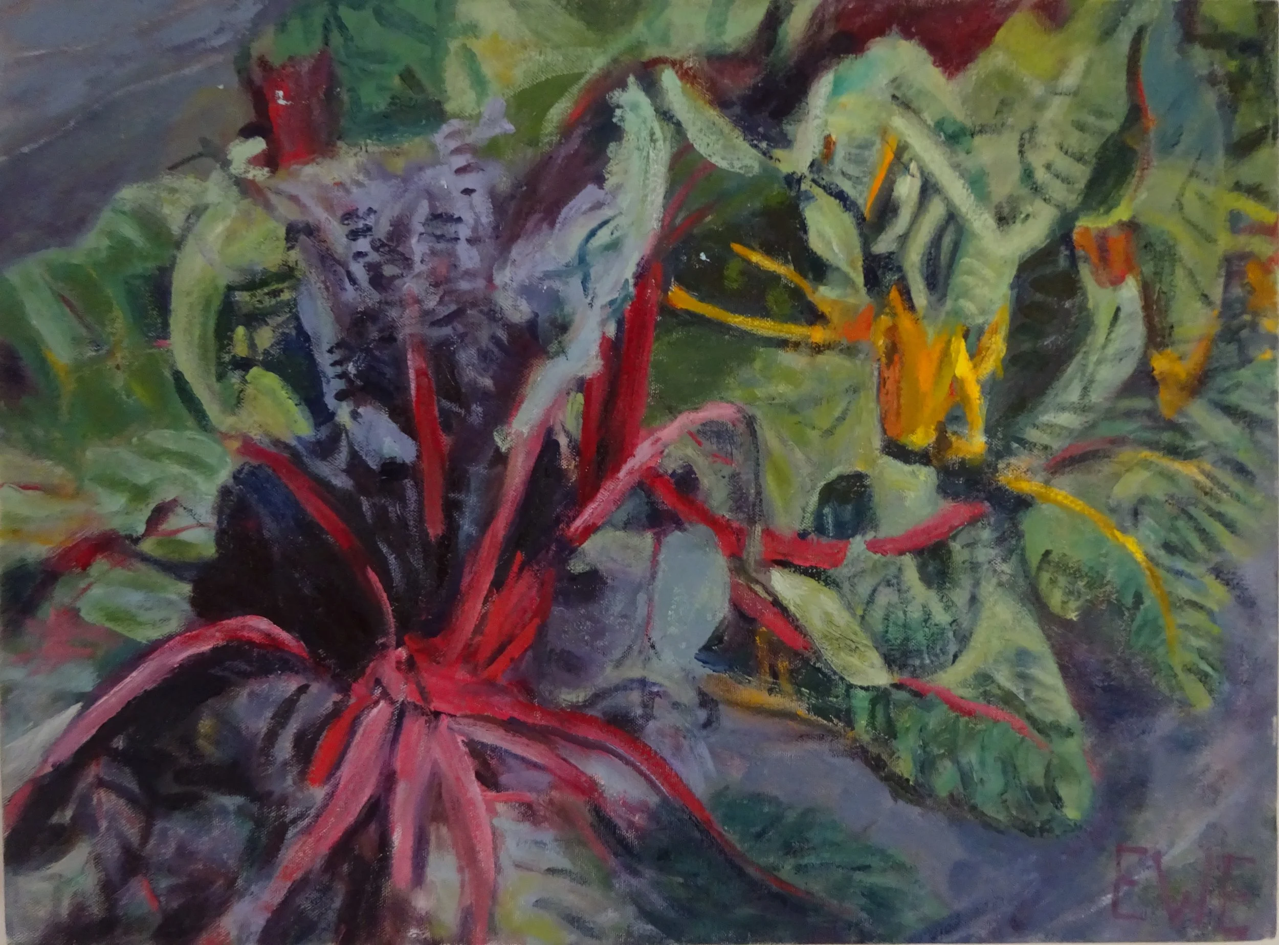 Swiss Chard 45x60