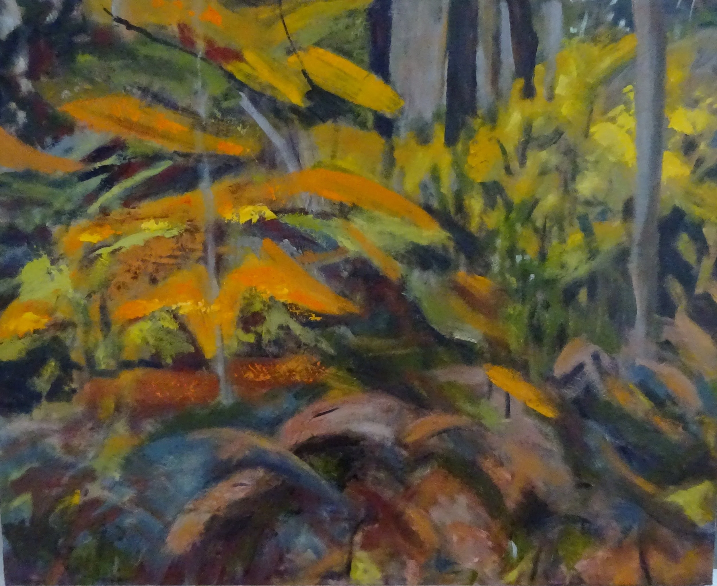 Autumn Longfield 60x75