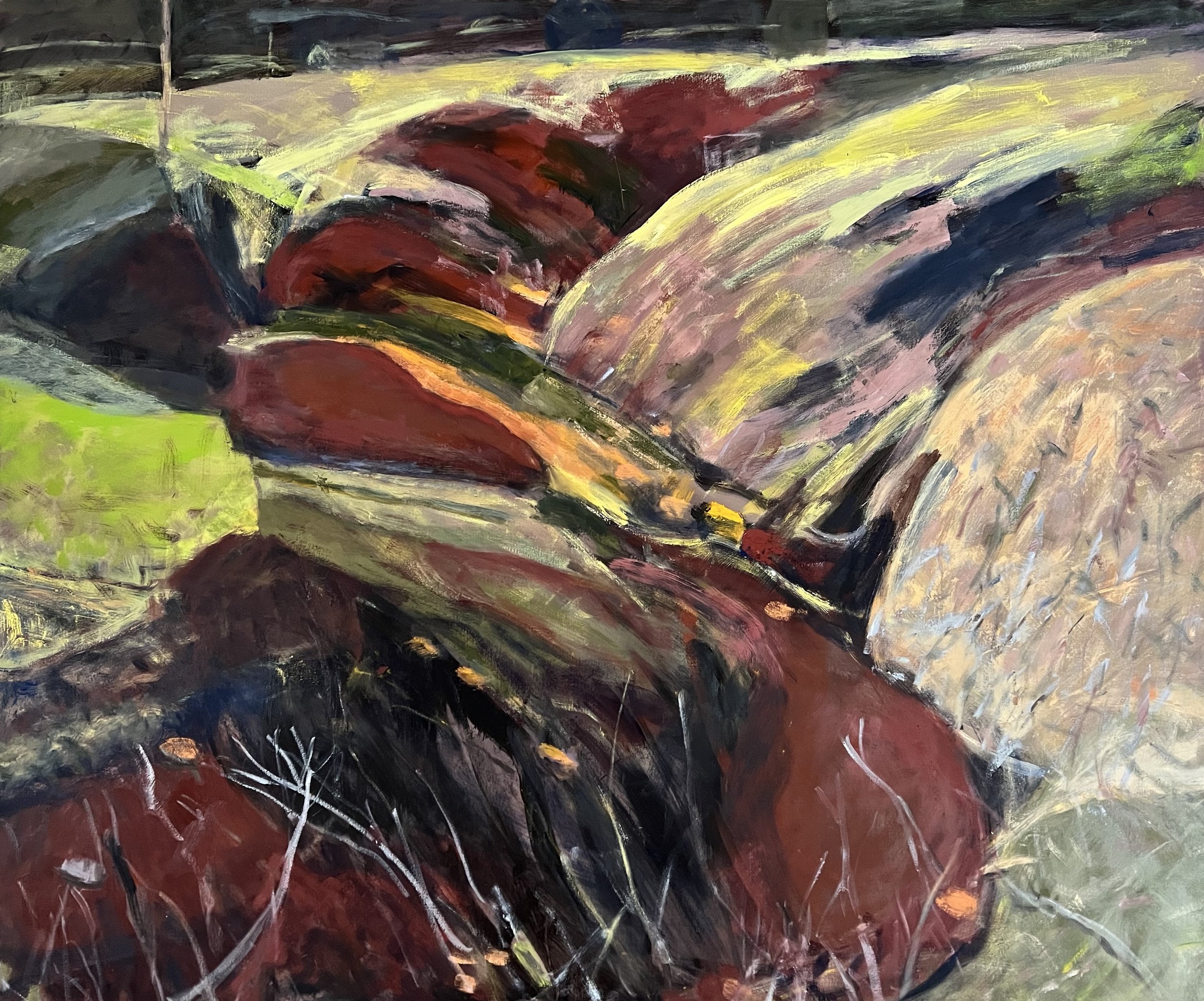 Longlands dingle after felling 100x120