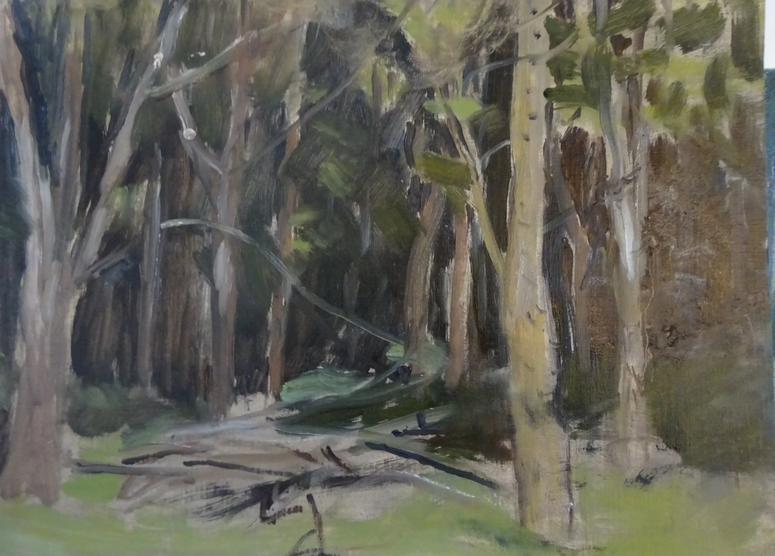 Long Symonds study 20x30