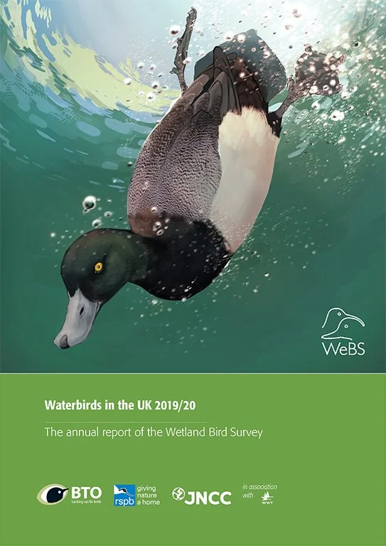 A mallard duck diving underwater with water splashing around and bubbles surrounding it, promoting the Wetland Bird Survey report for the UK 2019/20.