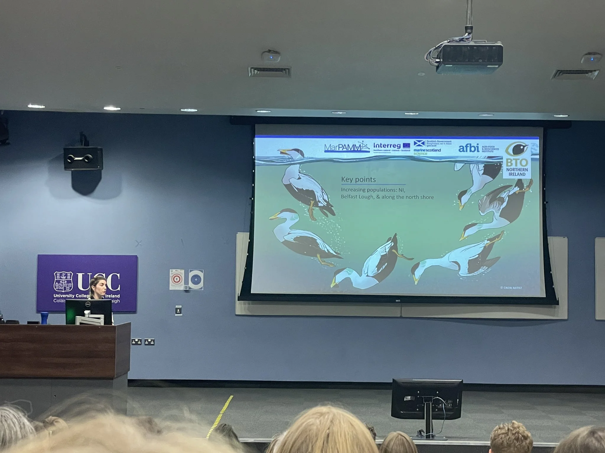 A woman standing at a podium in a lecture hall, with a large screen displaying a presentation slide featuring pictures of puffins and key points about increasing populations along the north shore. The classroom has a purple UIC (University of Ireland