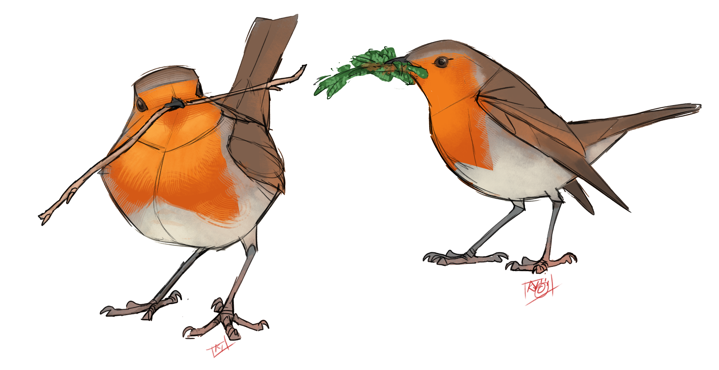 Two illustrated birds with orange and brown feathers, one holding a small branch with green leaves in its beak and the other perched on the ground.