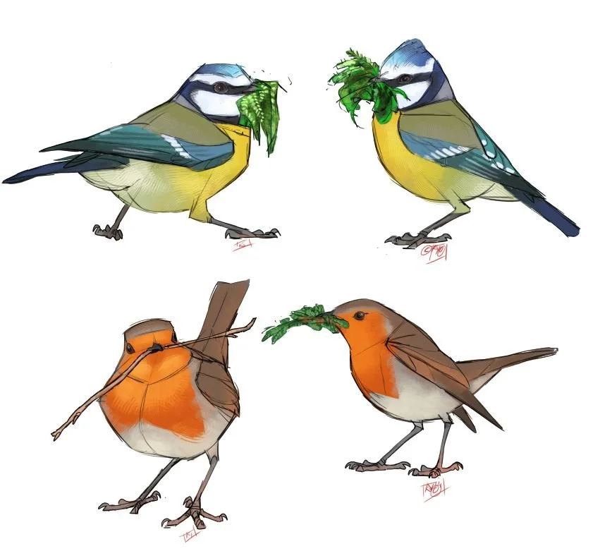Illustration of four birds, two blue and yellow with green leaves in their beaks, and two orange and white with green leaves in their beaks.