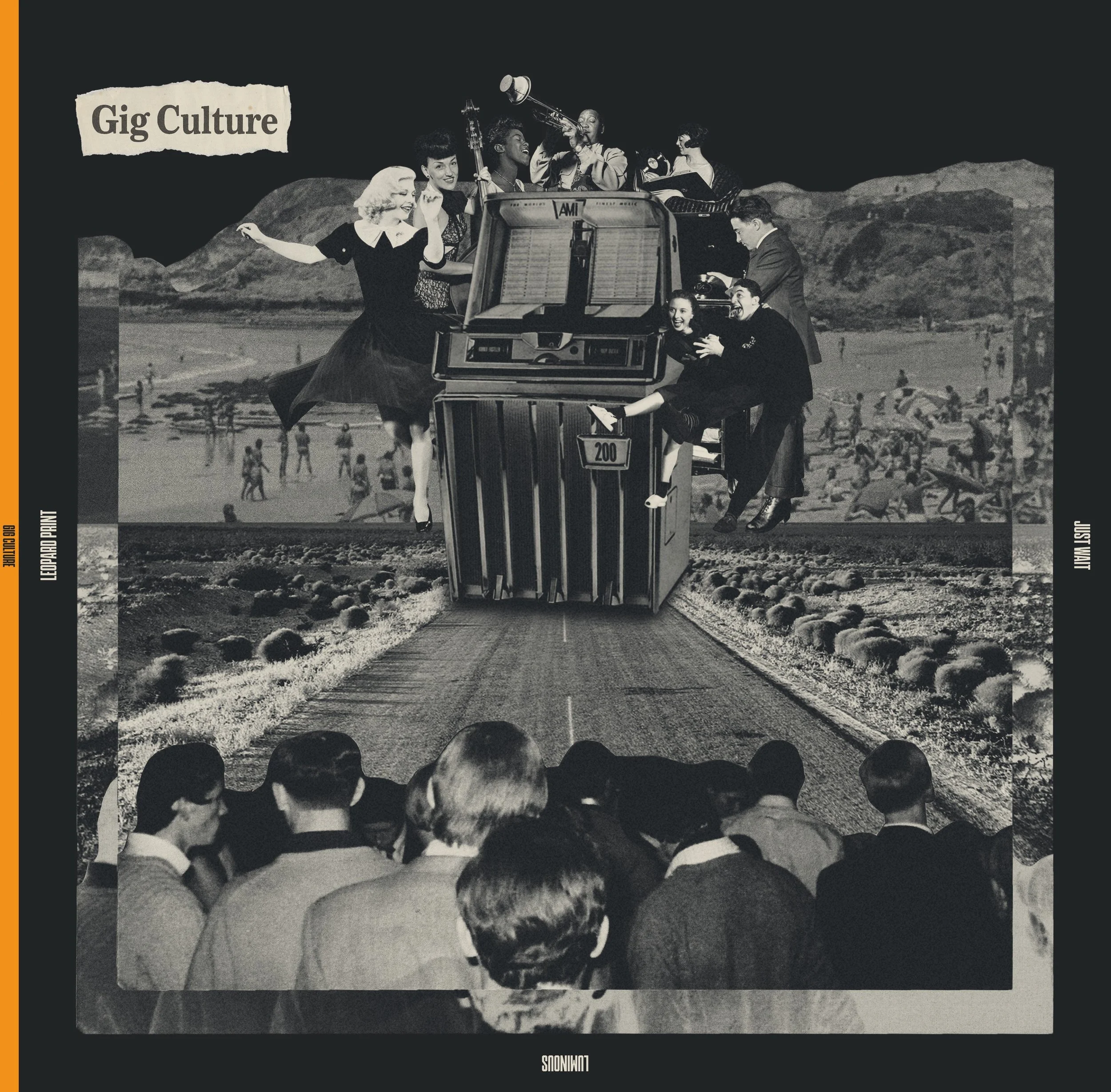 Outside Vinyl Cover Design Proof detail.jpg