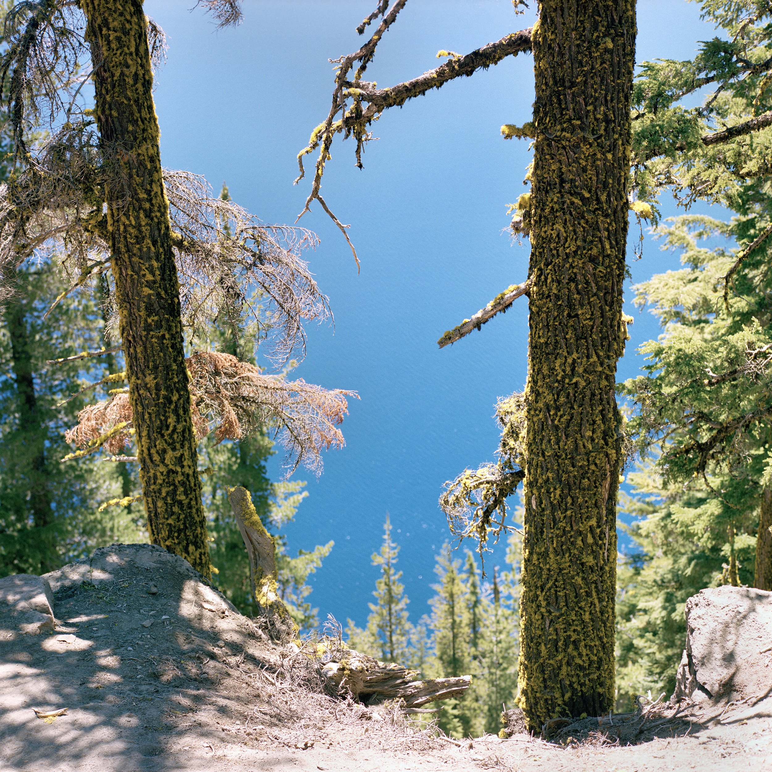 Crater Lake, OR