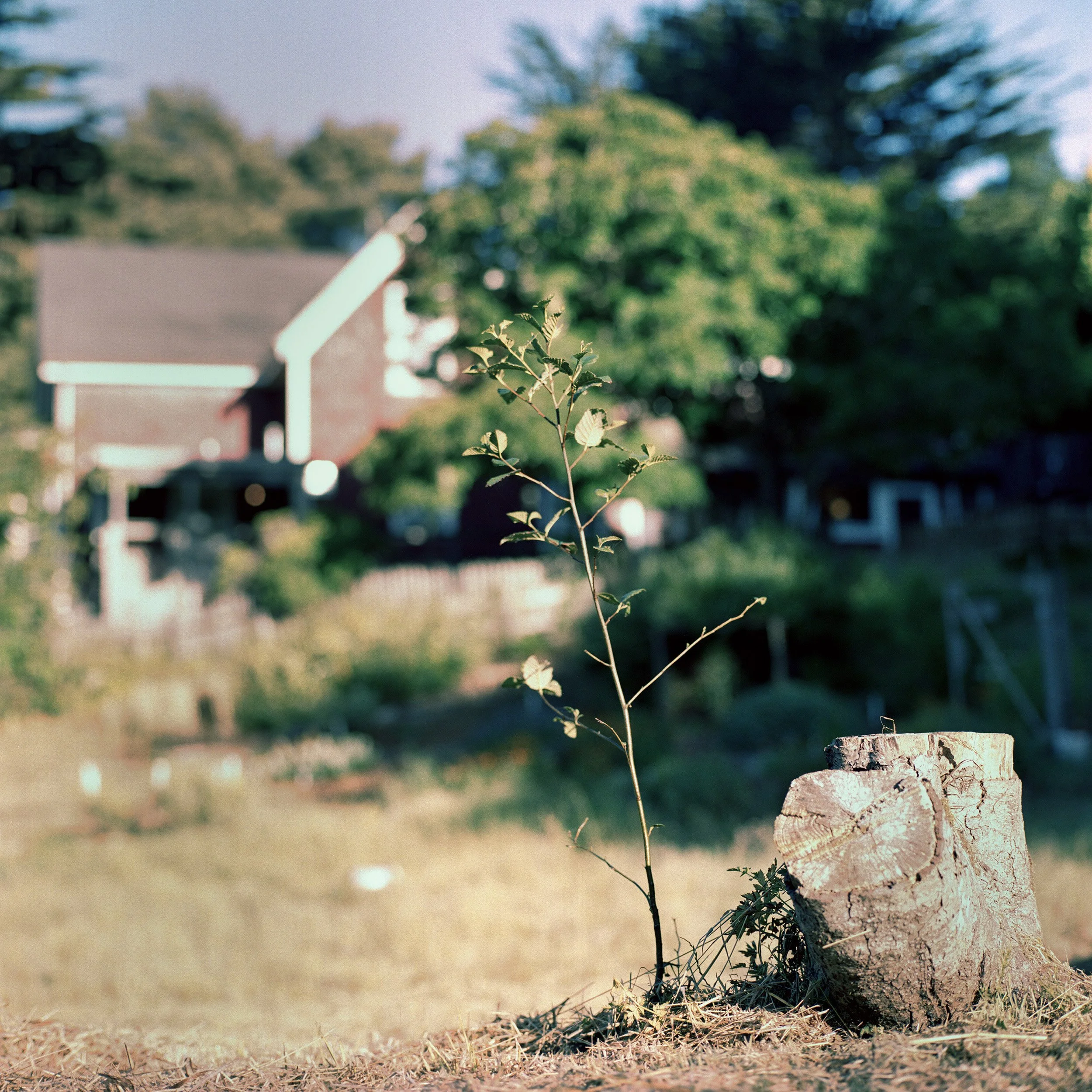 Caspar, CA