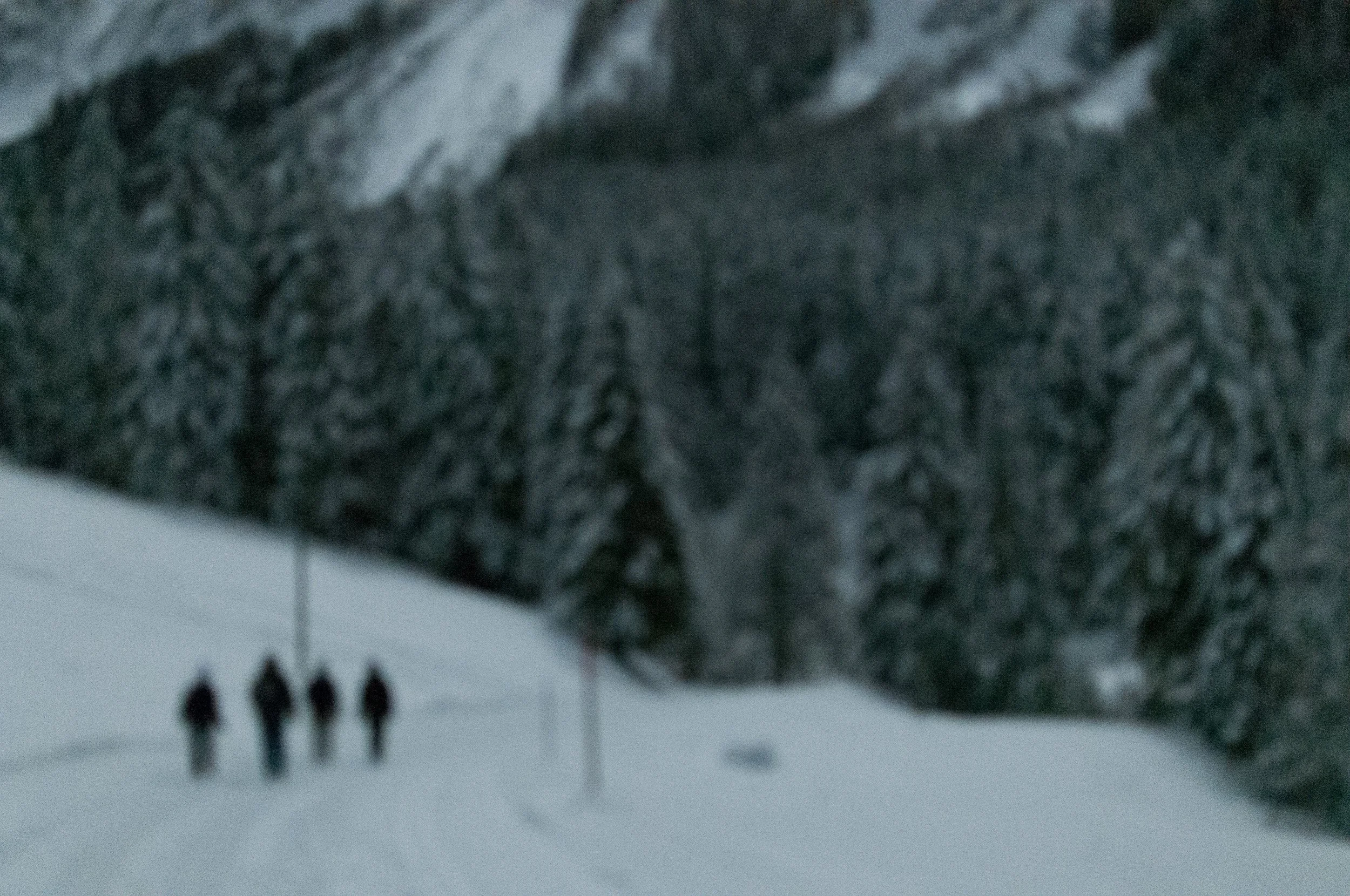 Solalex / 2014