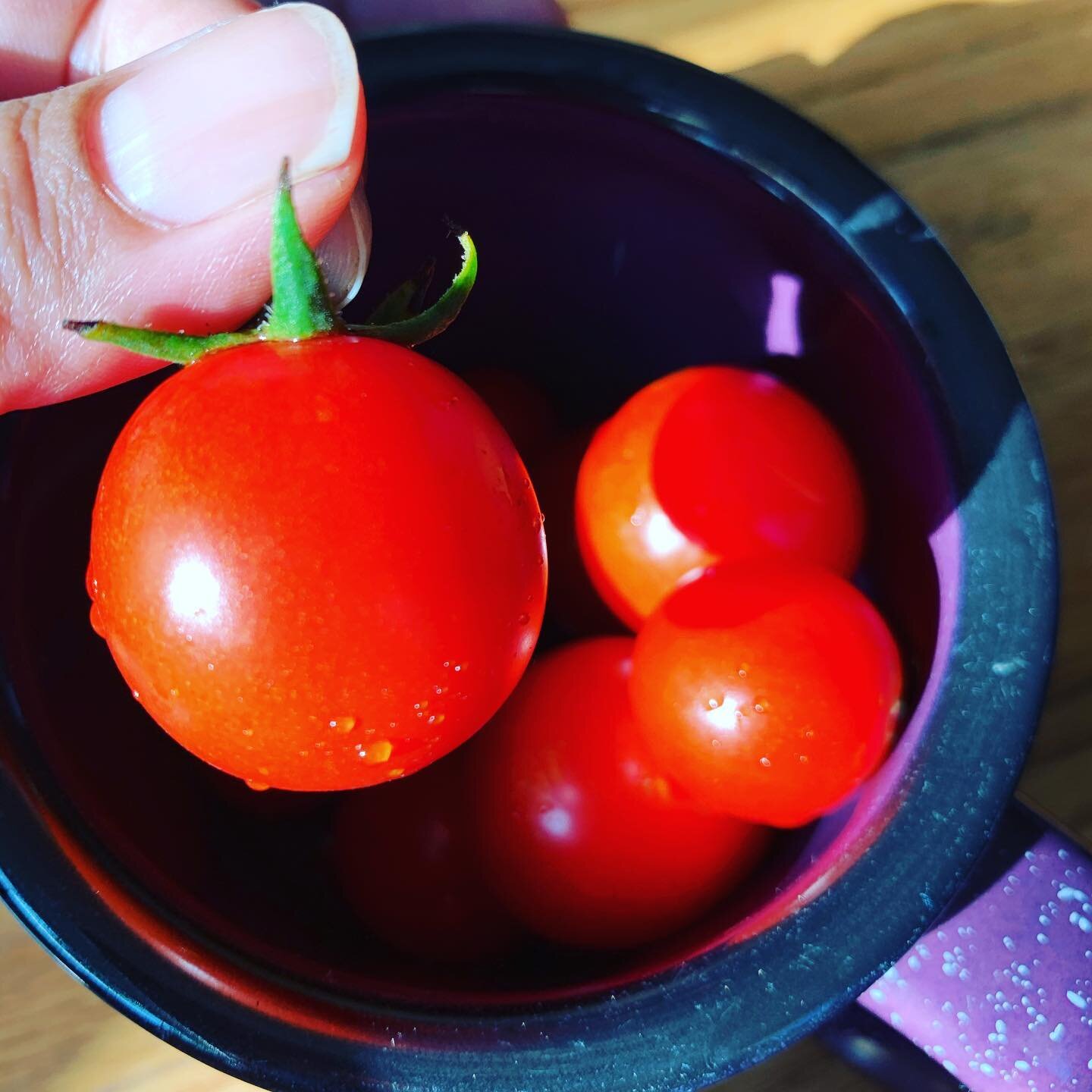 The infinite generosity of nature. Our compost becomes organic food. No need to buy seeds or plants! ☺️🌎🌱

#compost 
#vermicompost 
#gardening 
#organic 
#eiseniafetida