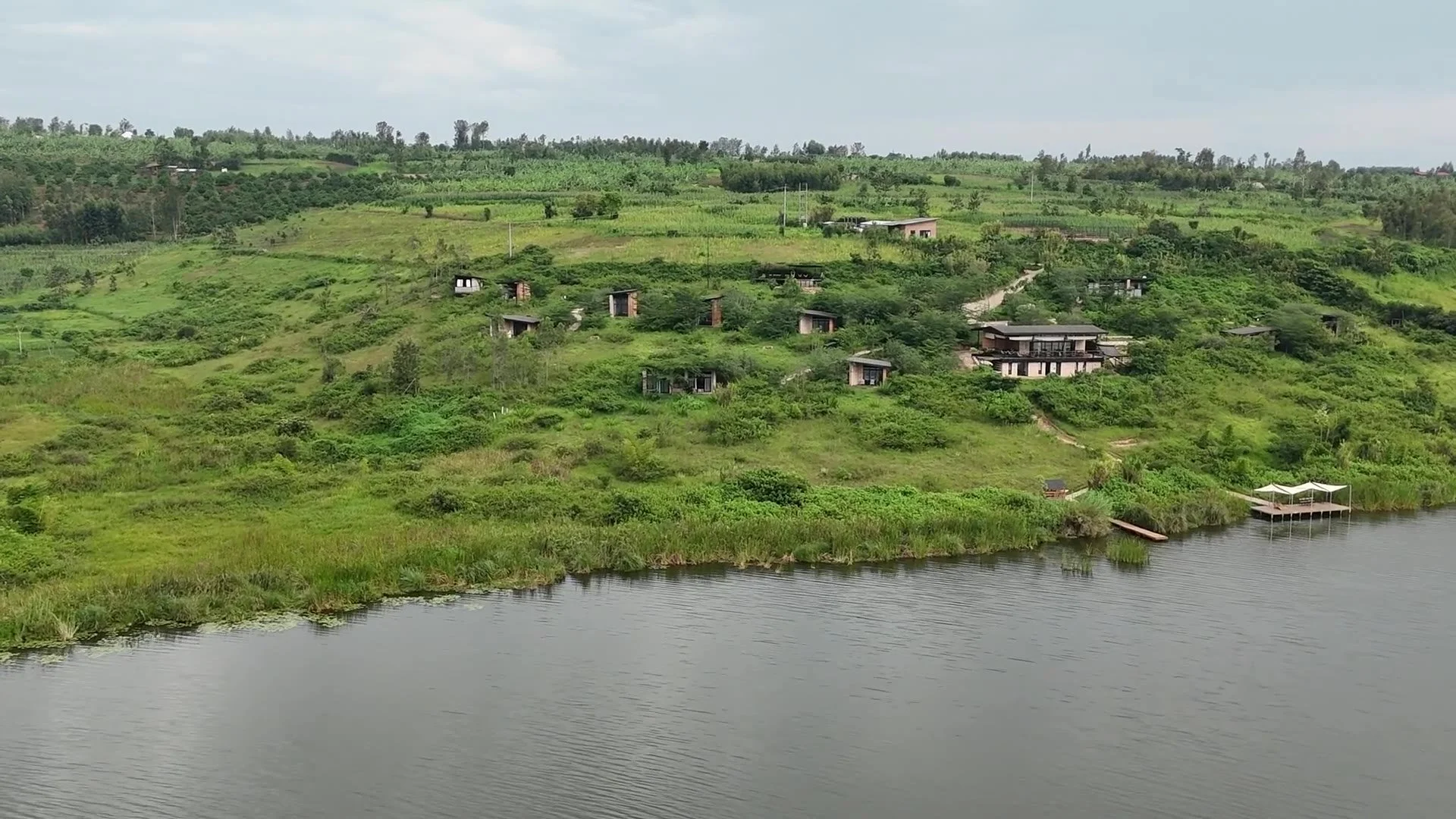 umva-greenery-drone-still.jpg
