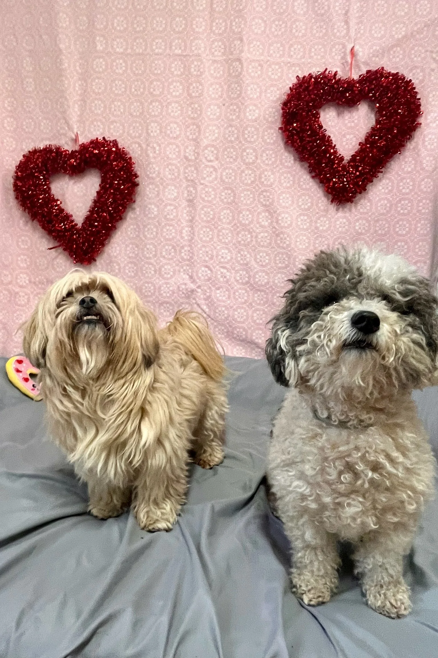 Valentine's Day 2025 