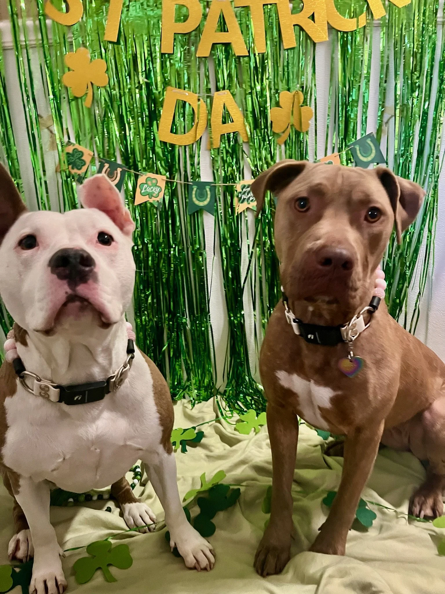 St. Patrick's Day 2025 