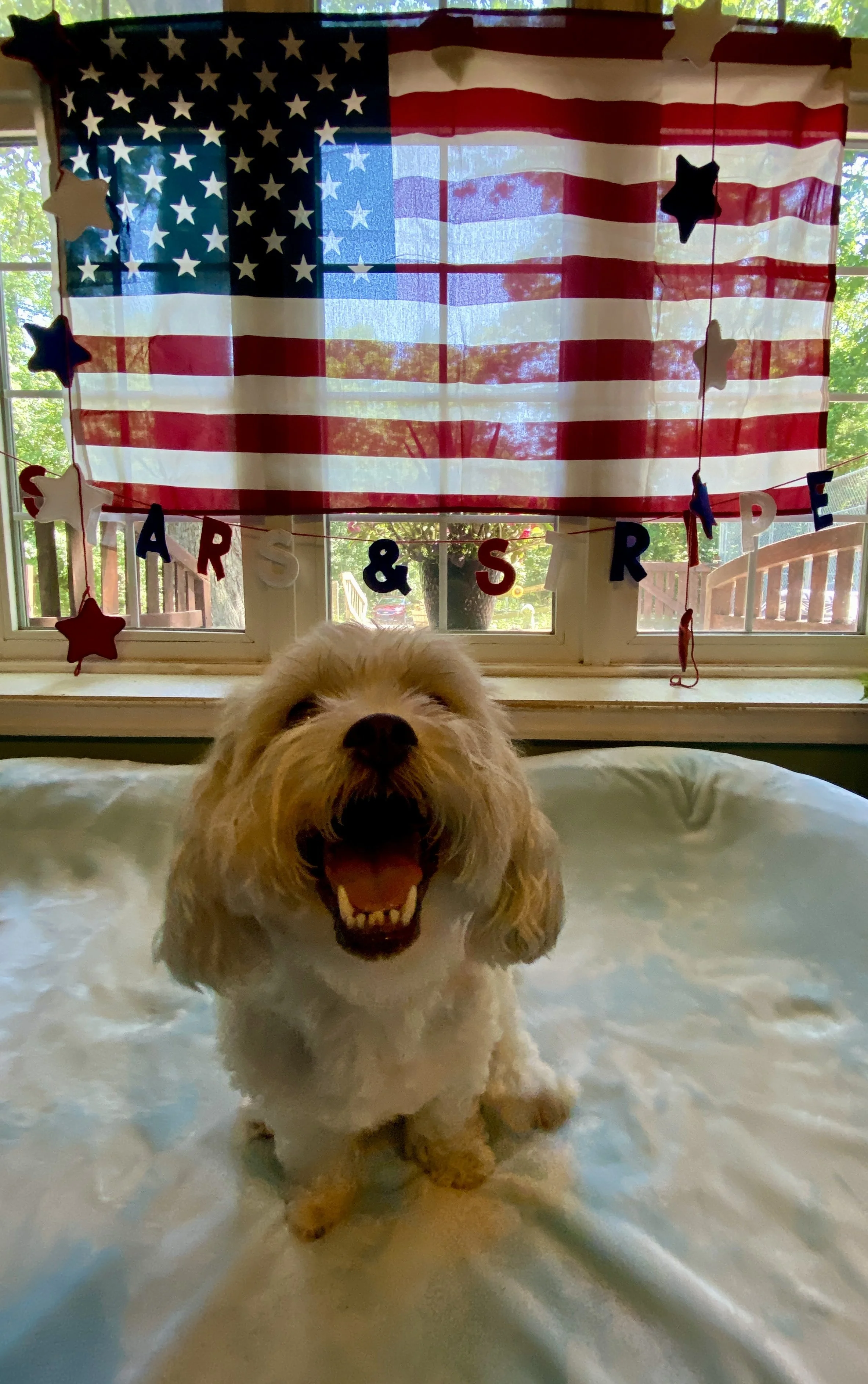 Independence Day 2025 