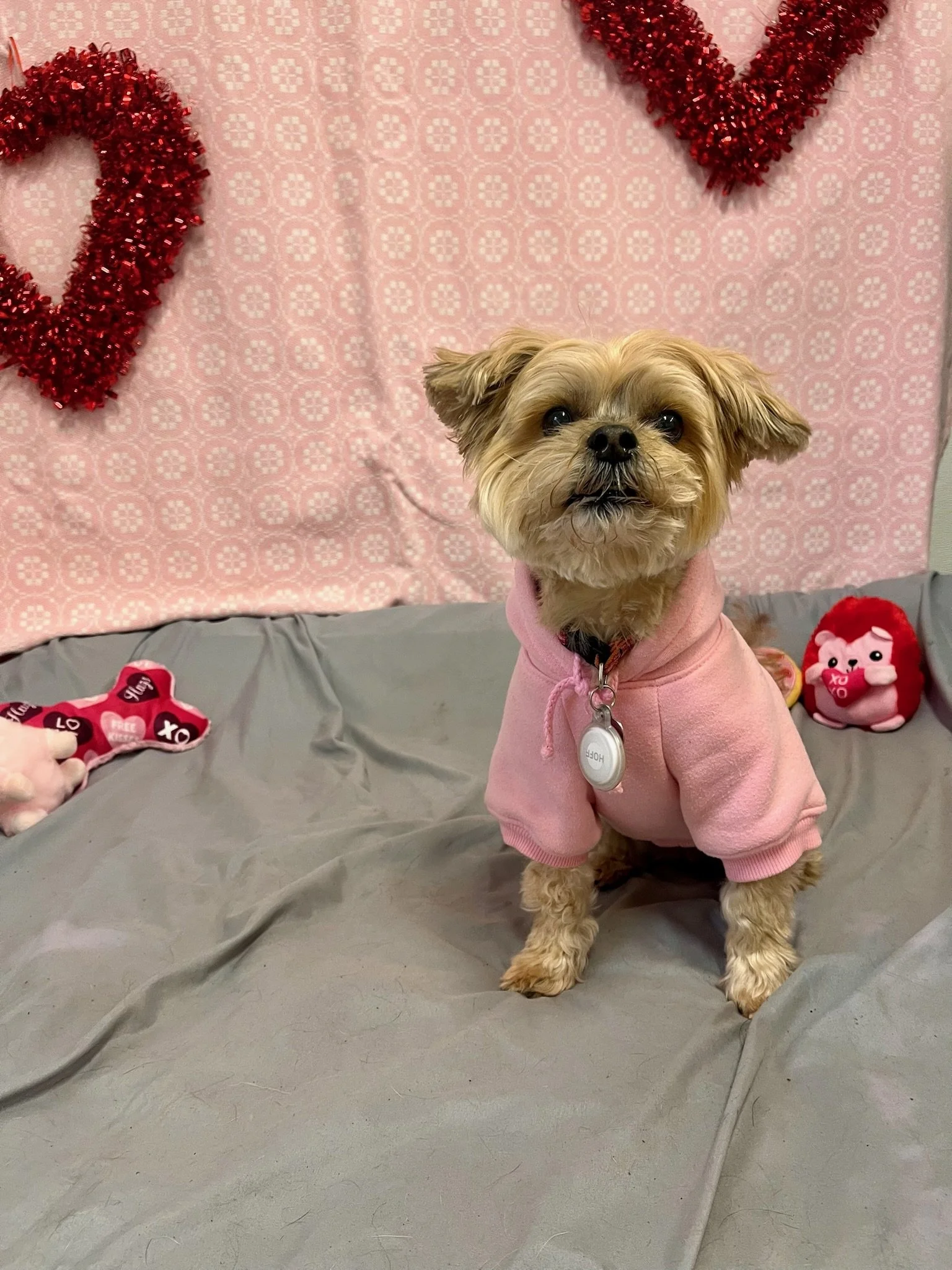 Valentine's Day 2025 