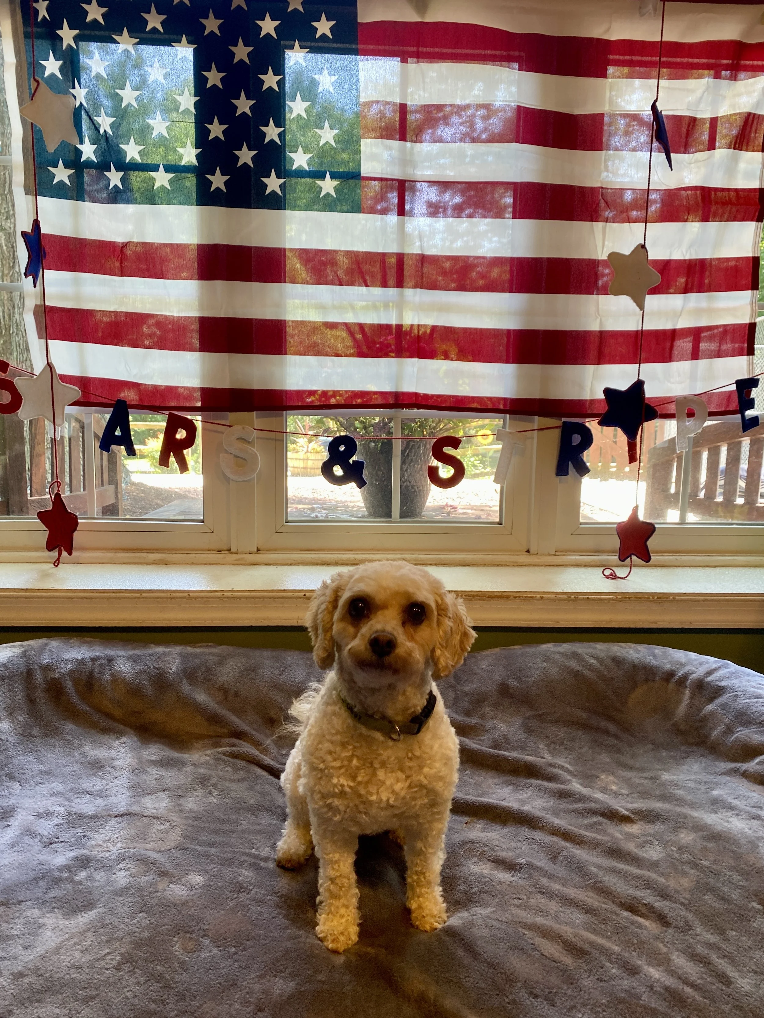 Independence Day 2025 