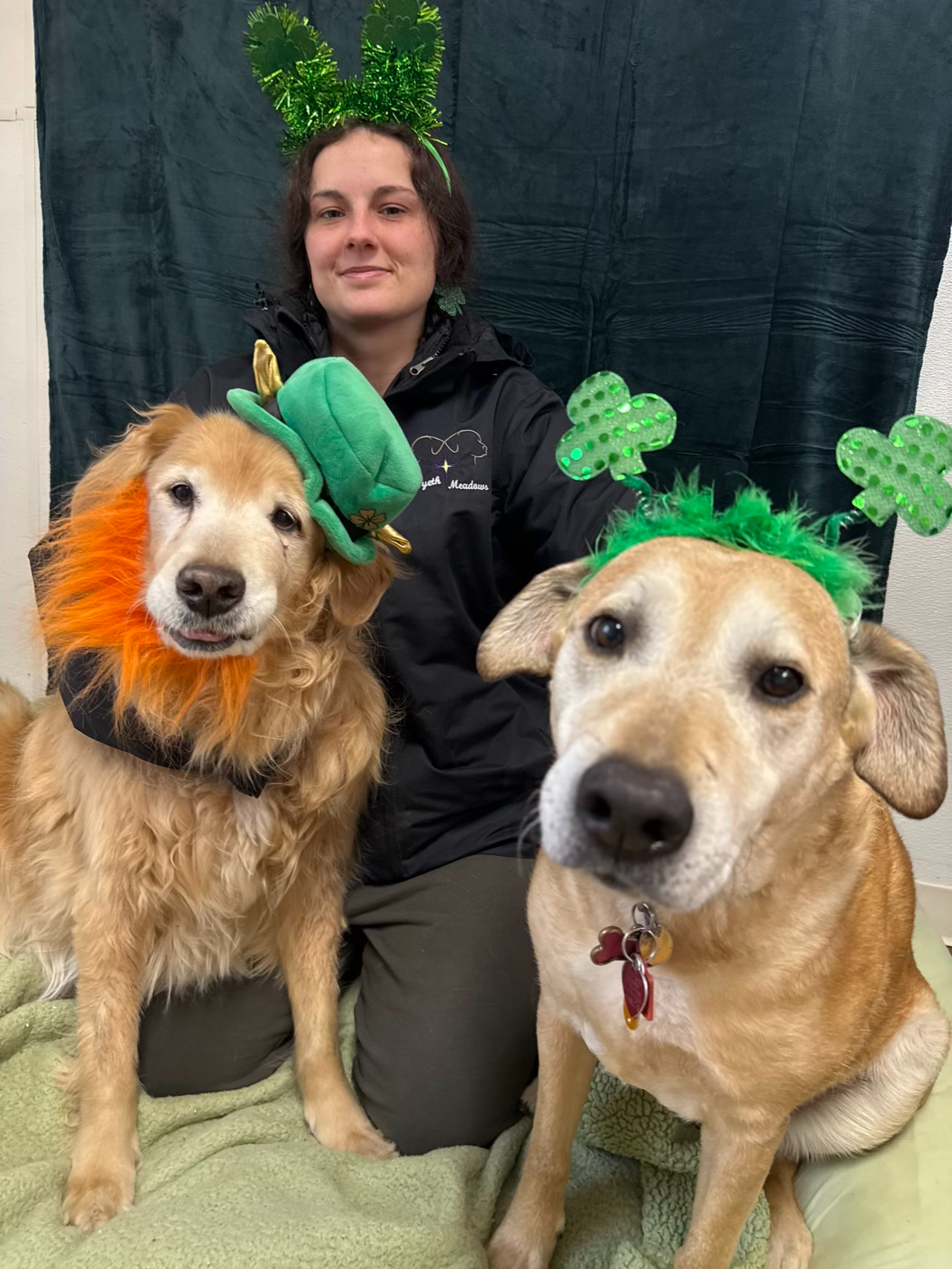 St. Patrick's Day 2026 