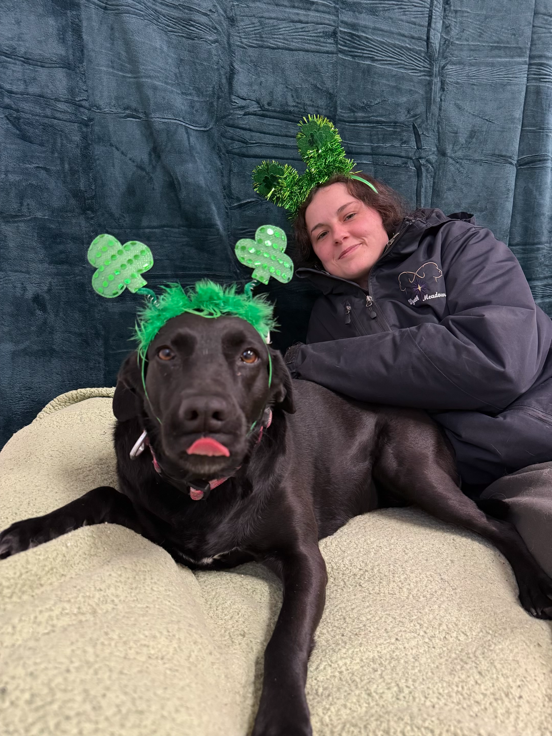 St. Patrick's Day 2026 