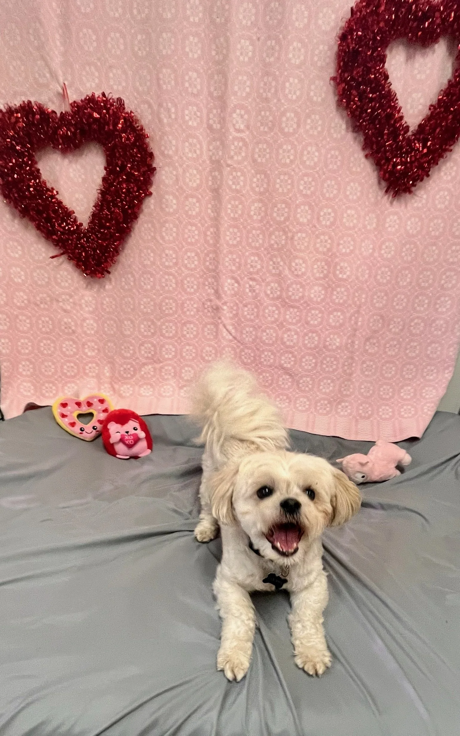 Valentine's Day 2025 