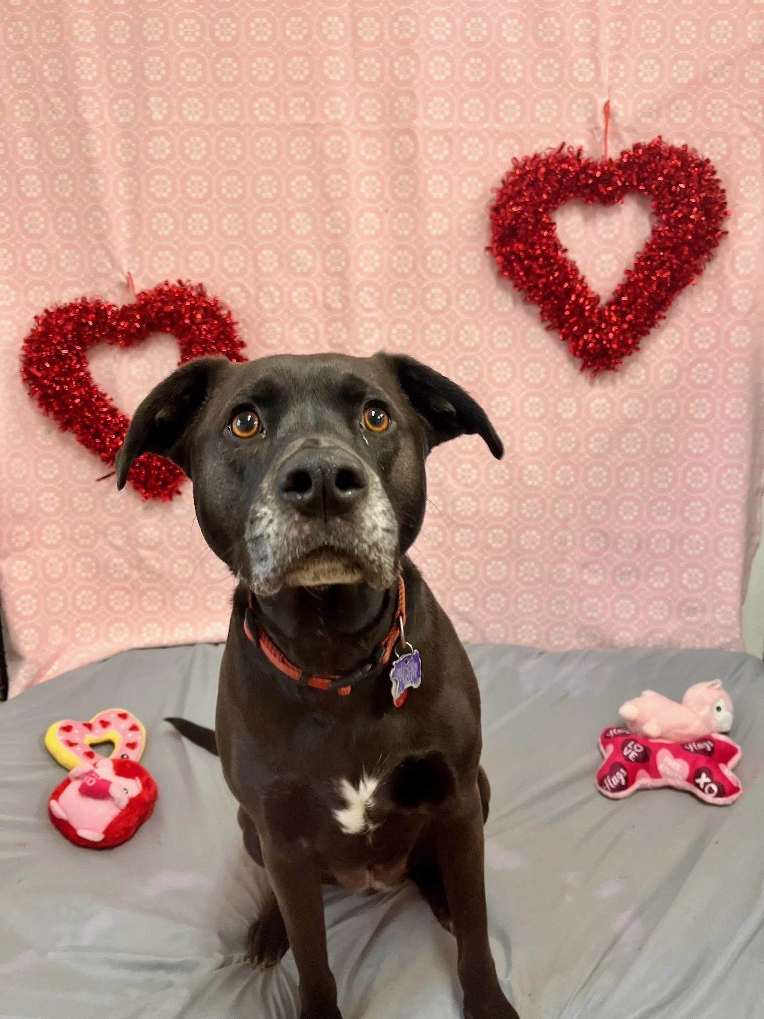 Valentine's Day 2025 