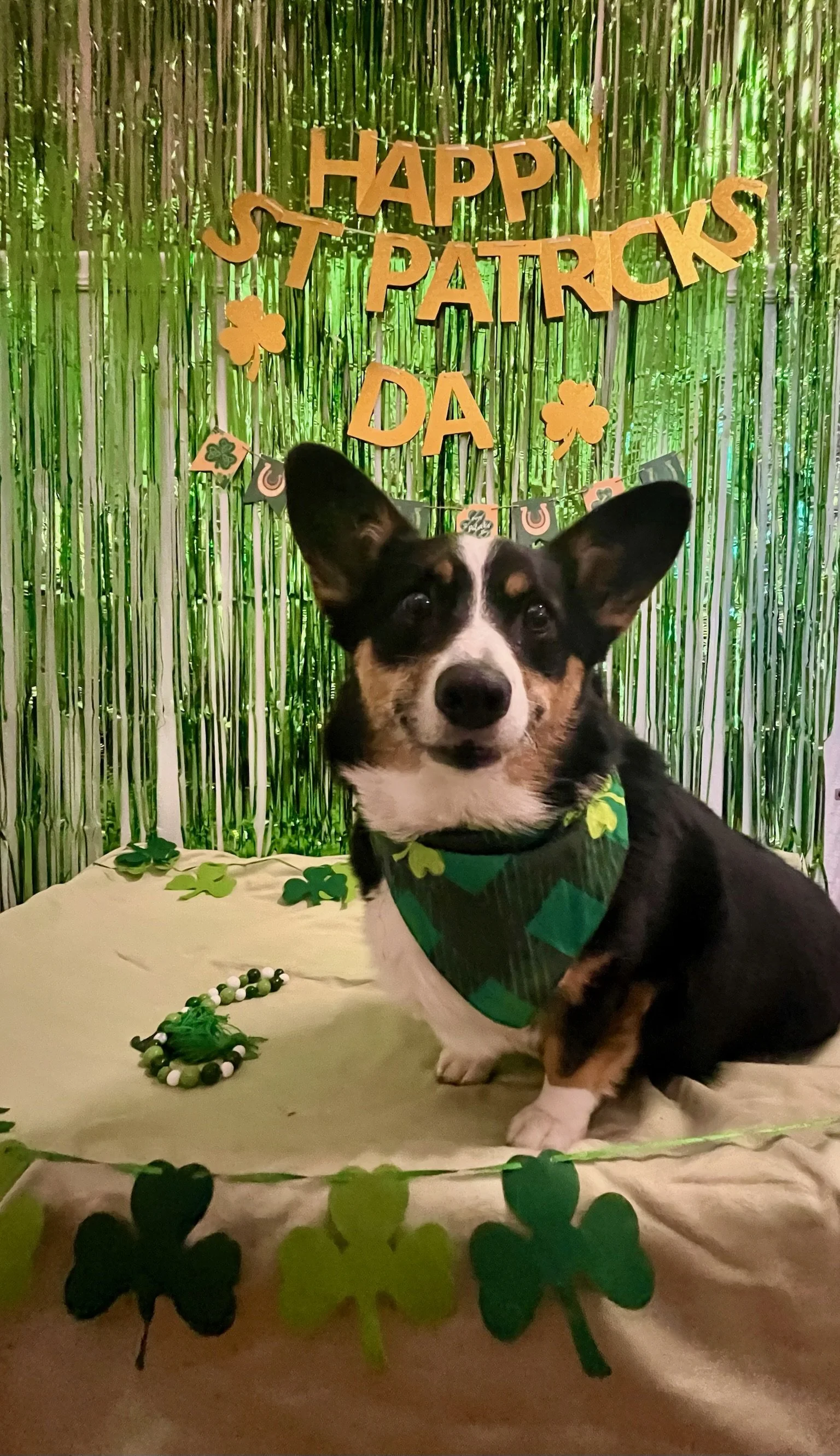 St. Patrick's Day 2025 