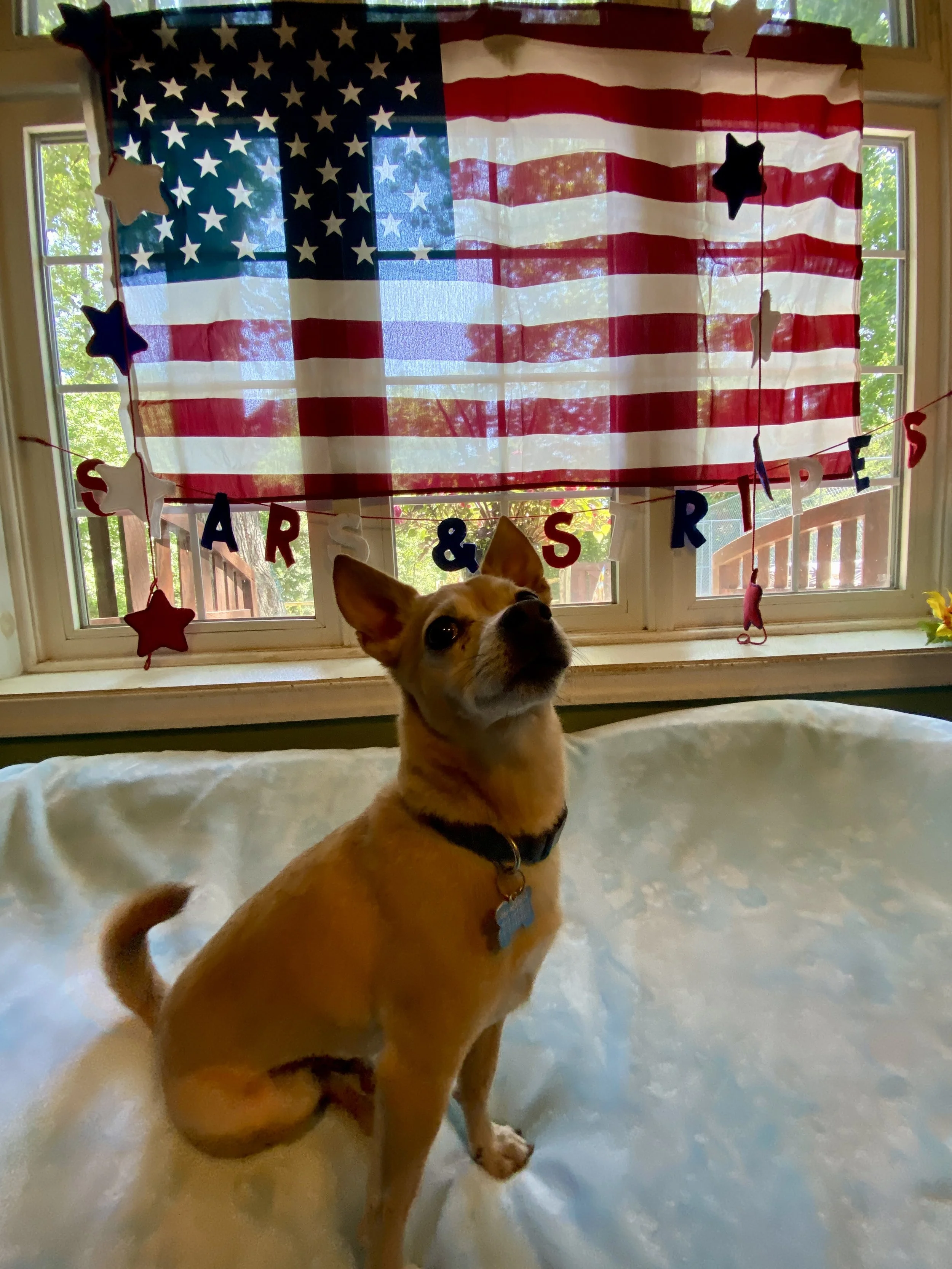 Independence Day 2025 