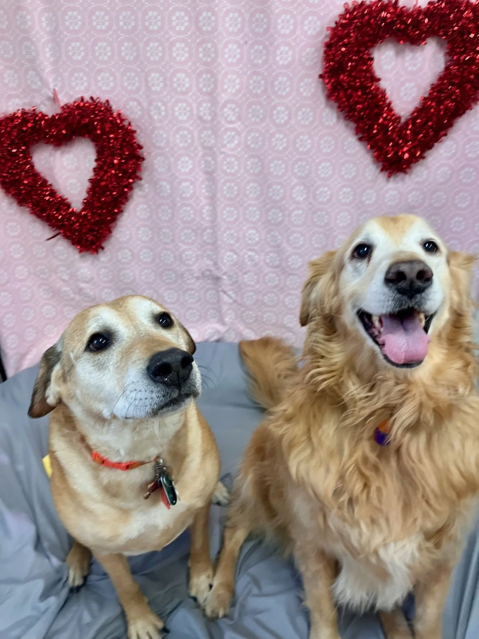 Valentine's Day 2025 