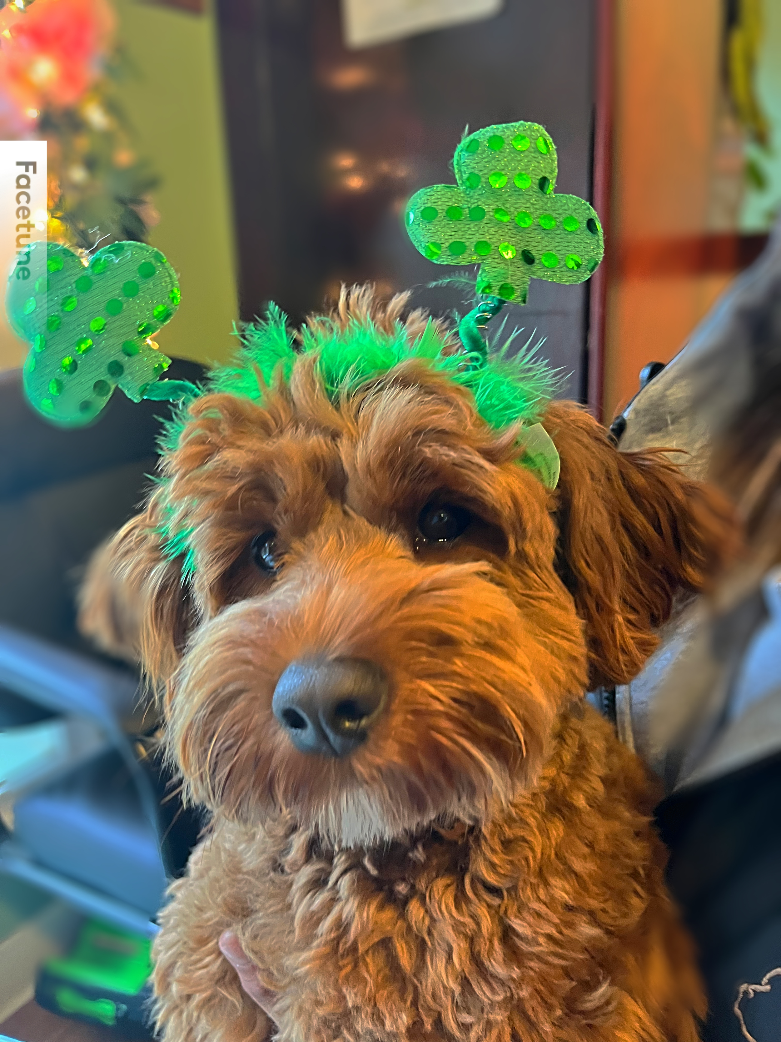 St. Patricks Day 2023 