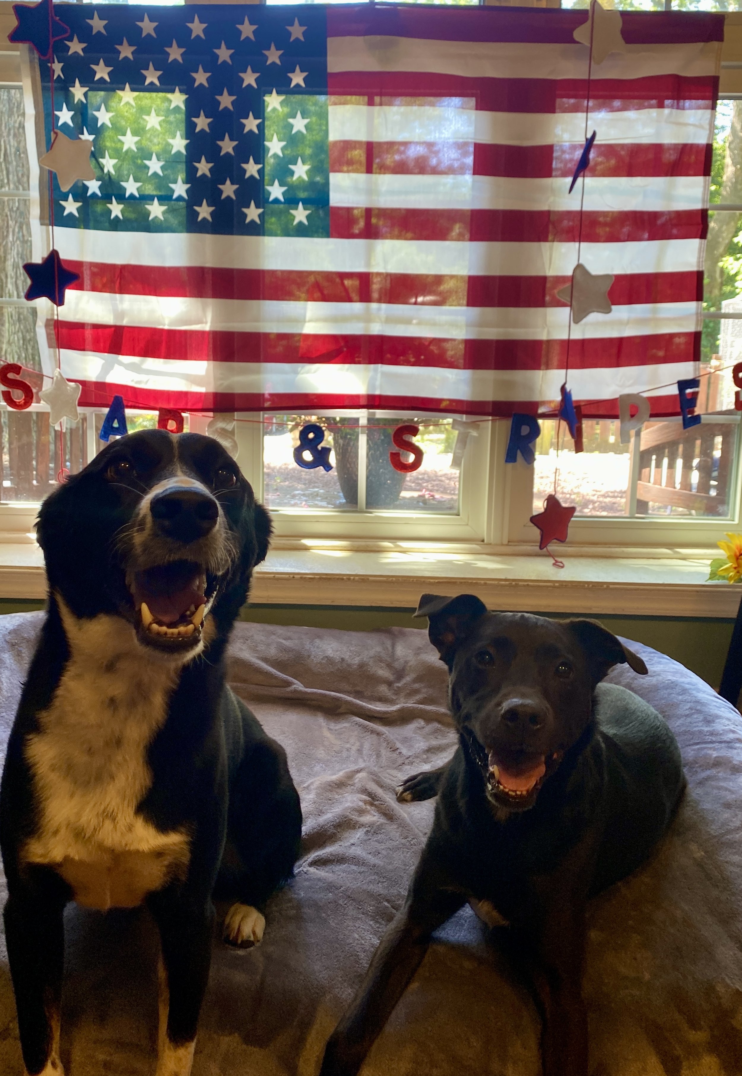 Independence Day 2025 